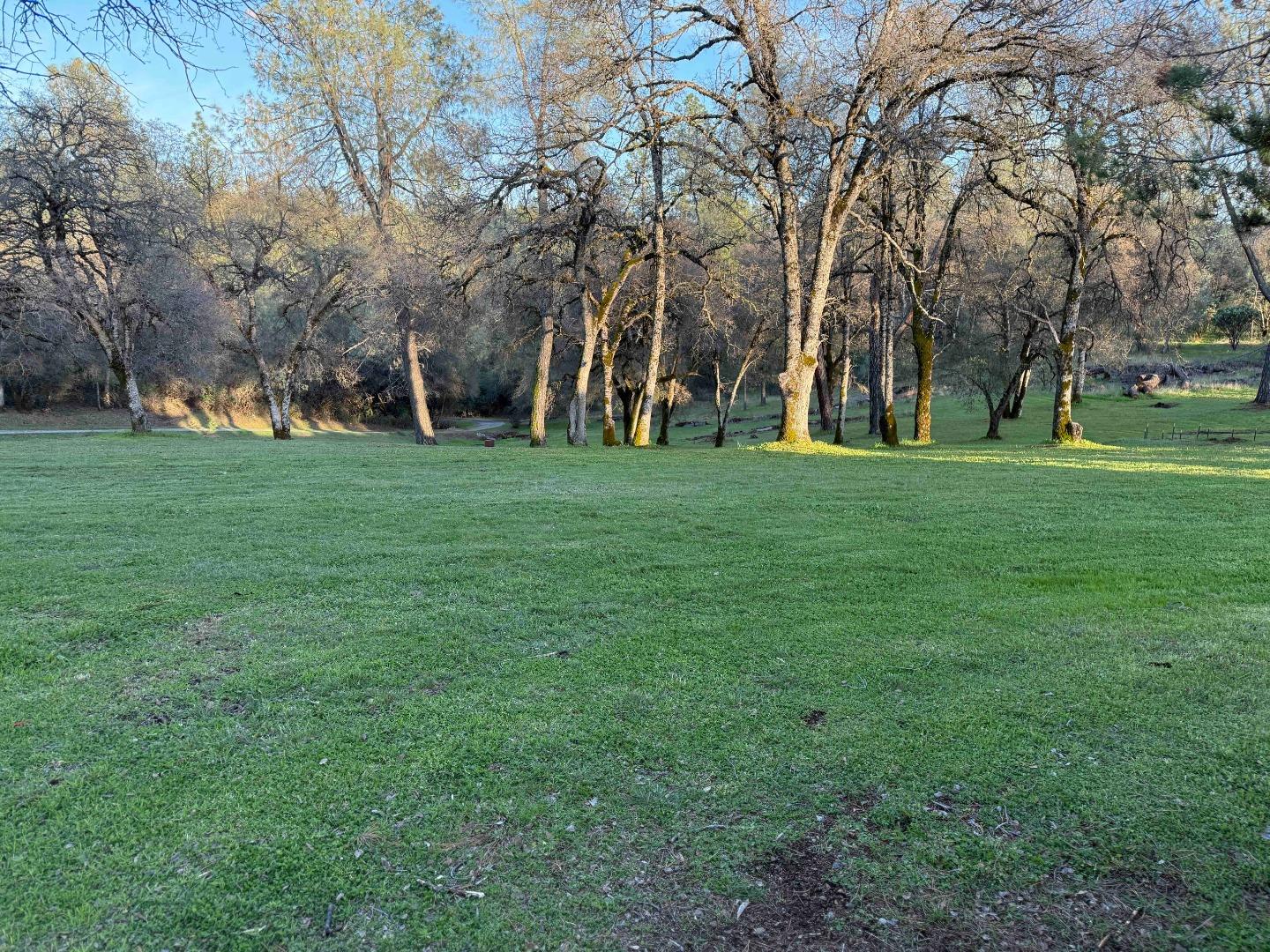 9951 State Highway 193