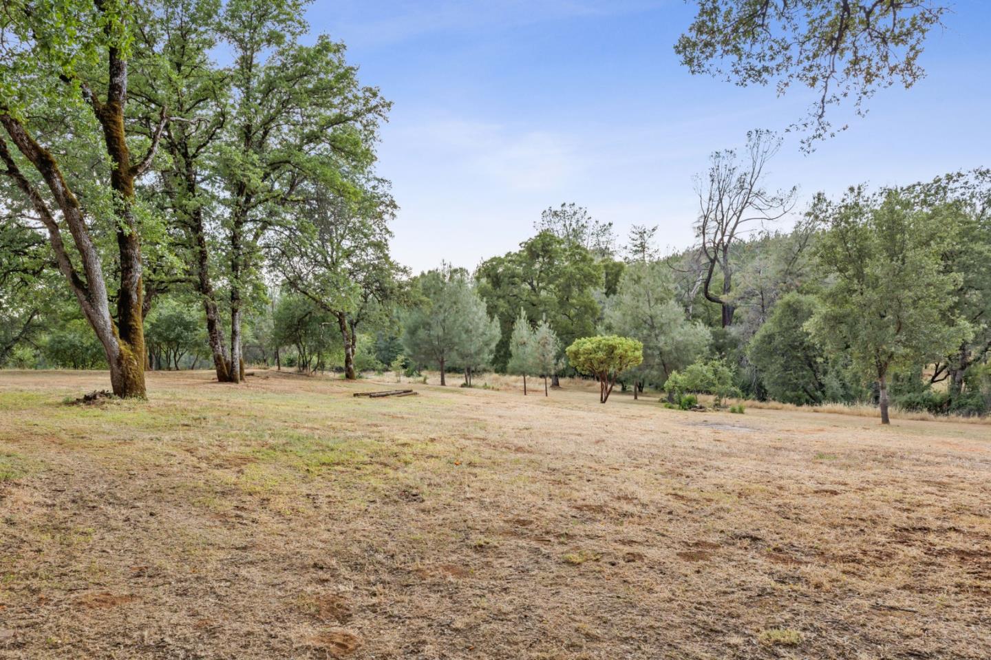 9951 State Highway 193