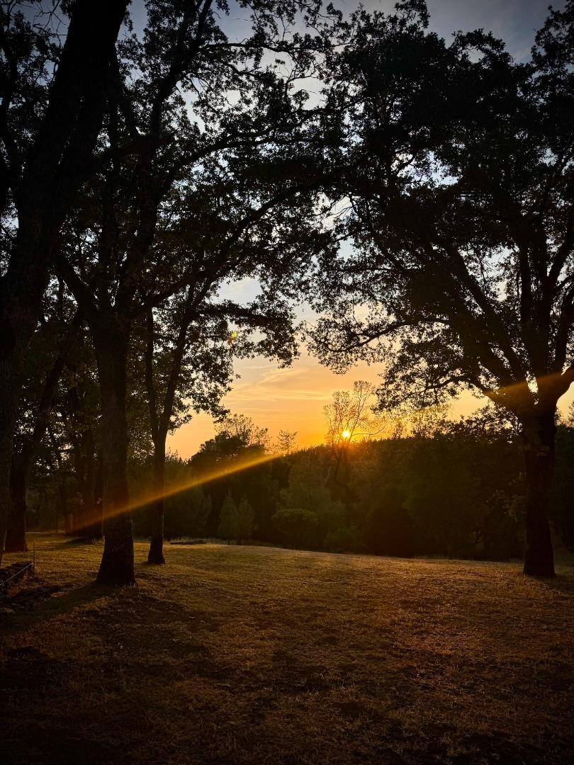 9951 State Highway 193