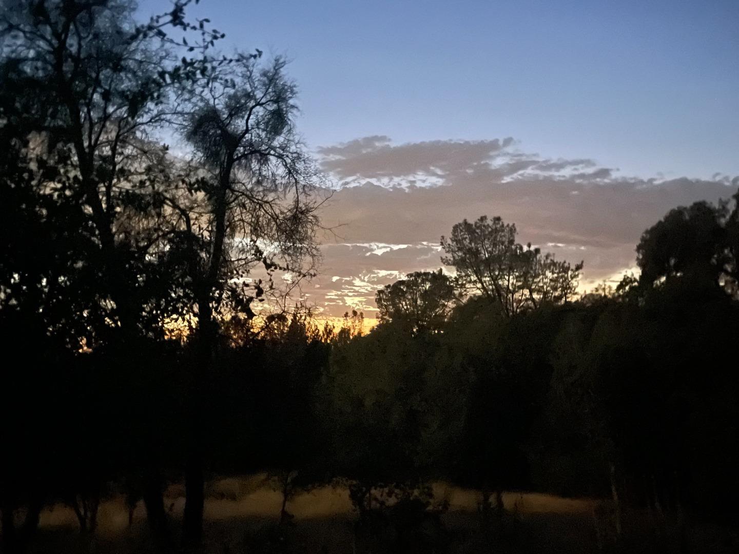 9951 State Highway 193