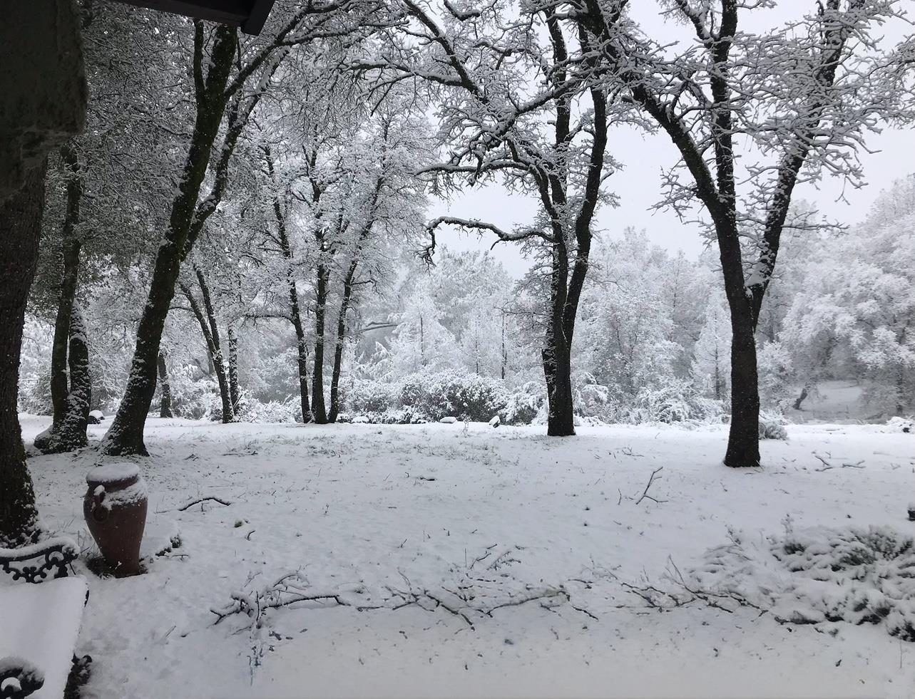 9951 State Highway 193