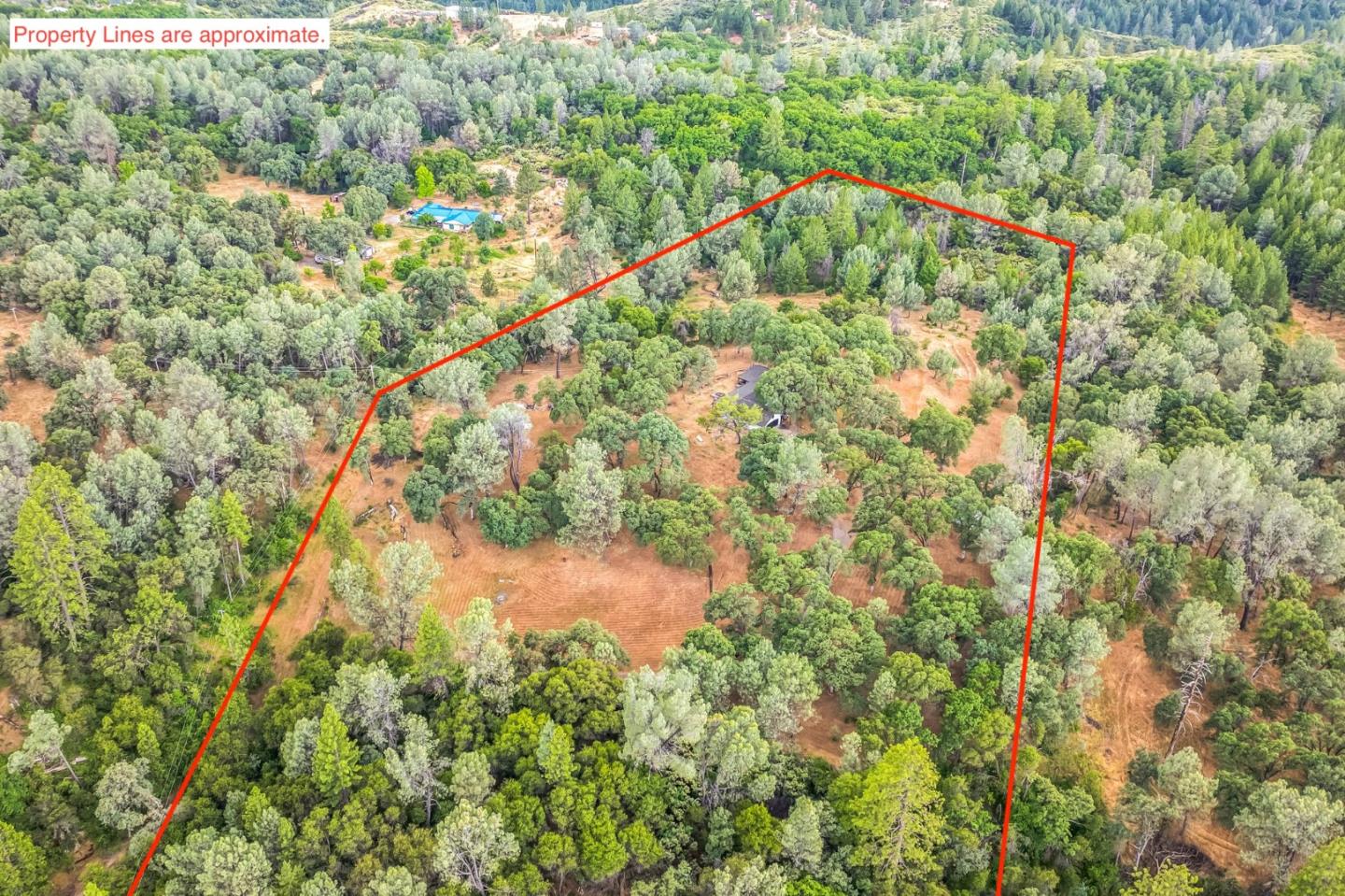 9951 State Highway 193