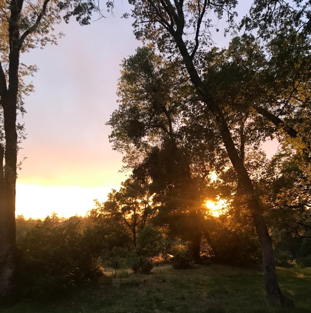 9951 State Highway 193