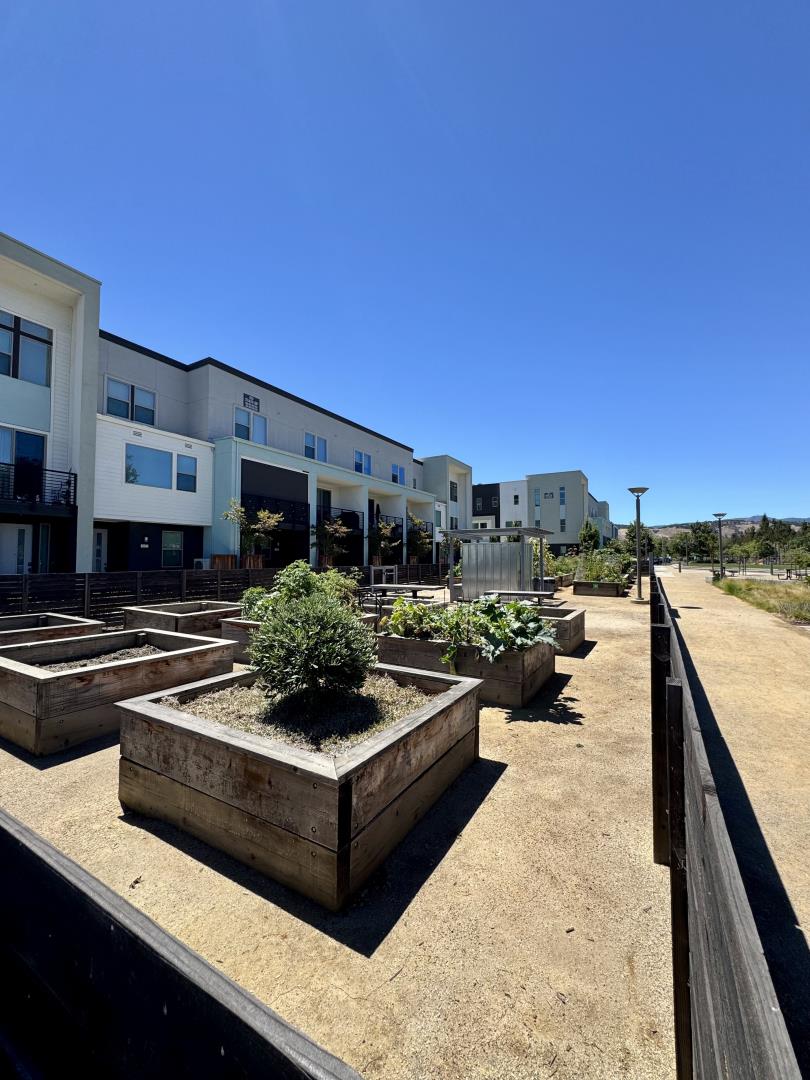 6810 Chroma Court