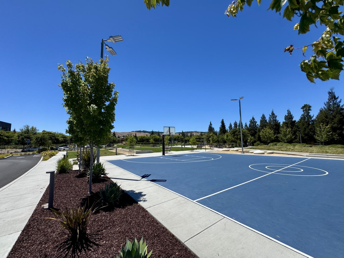 6810 Chroma Court