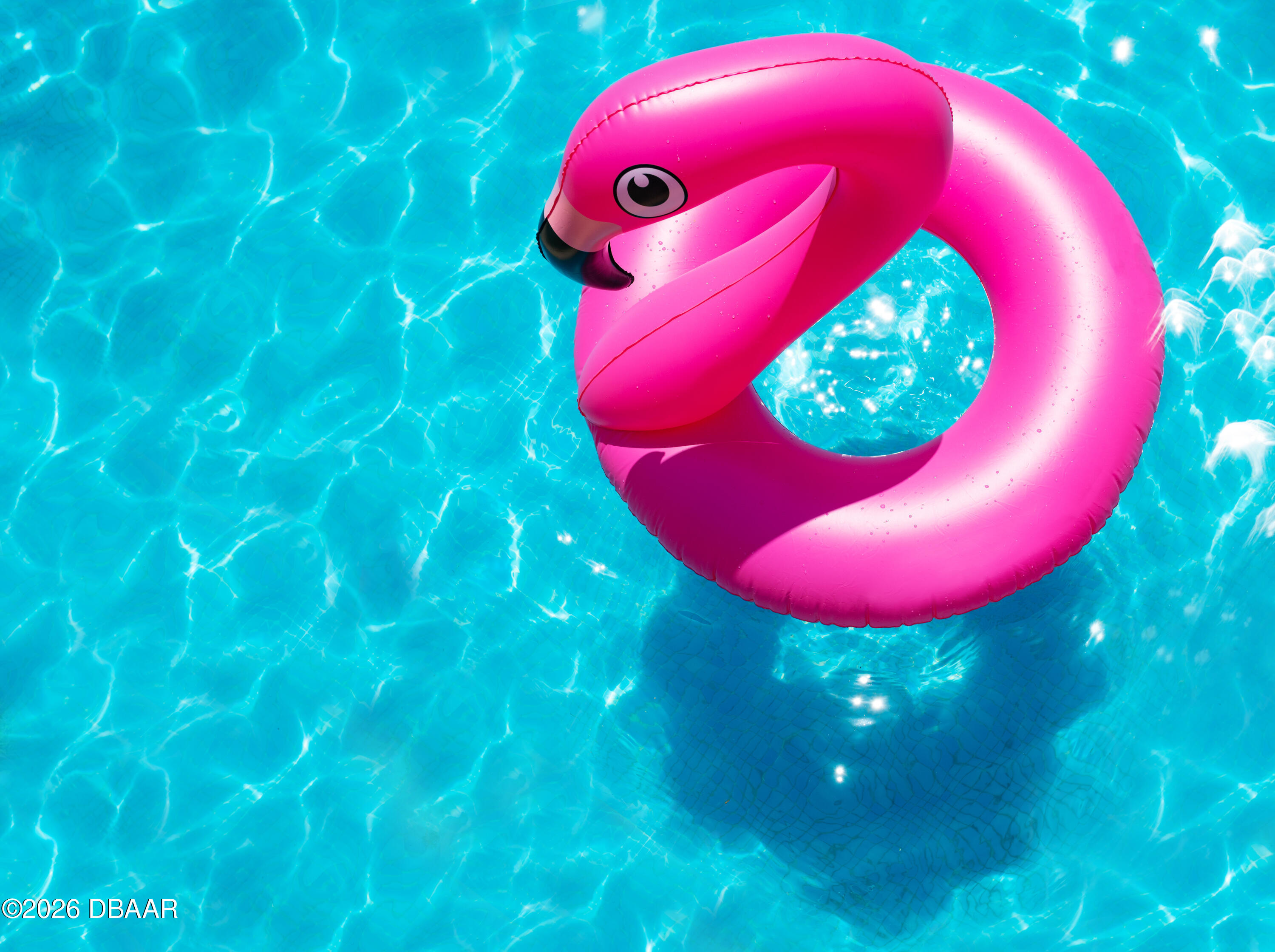 2403 S Atlantic Avenue Unit: 811