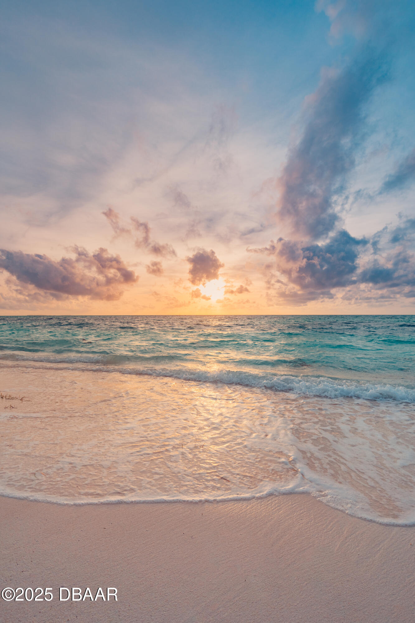 2901 S Atlantic Avenue Unit: 401