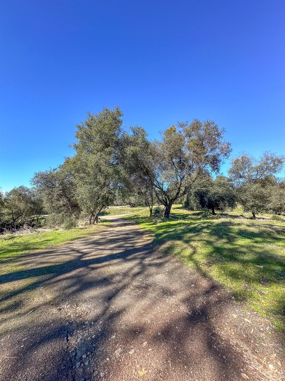 2159 Andreas Vista