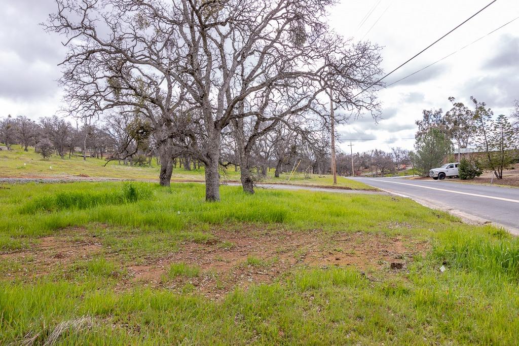 4495 Arbolada Drive