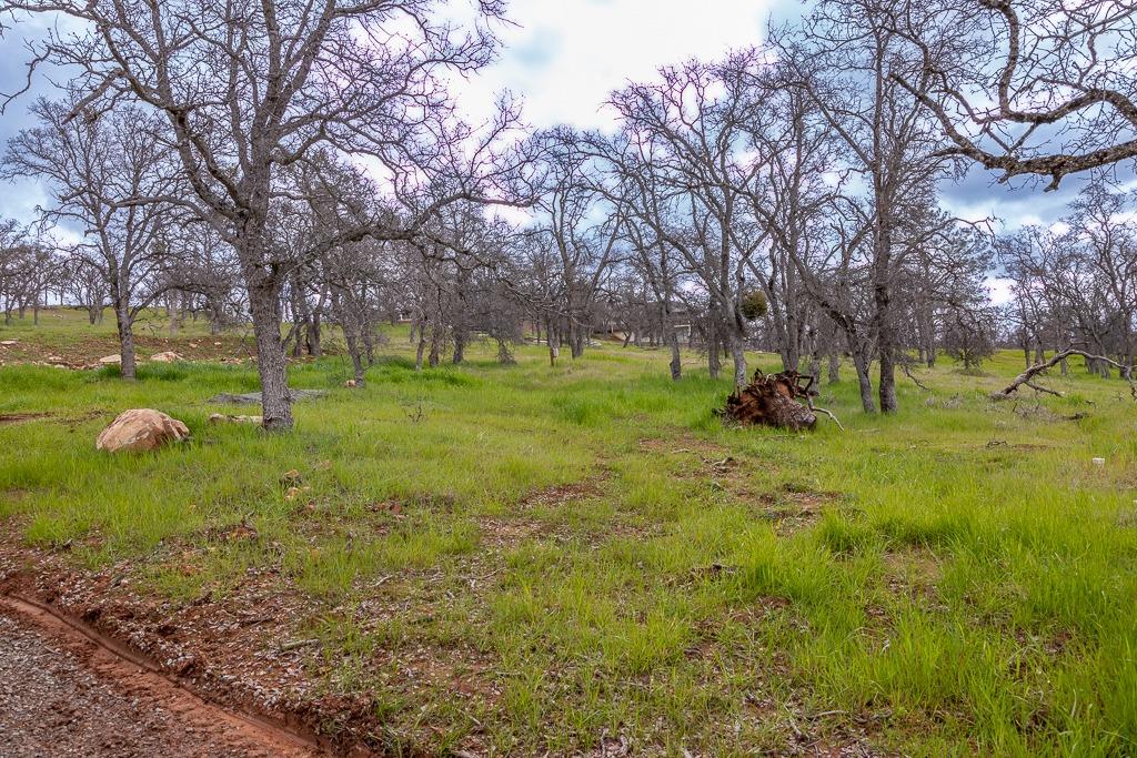 4495 Arbolada Drive