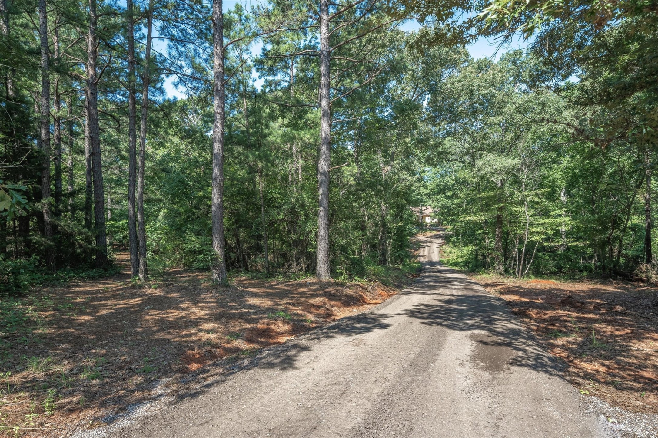 106 Vz County Road 4814