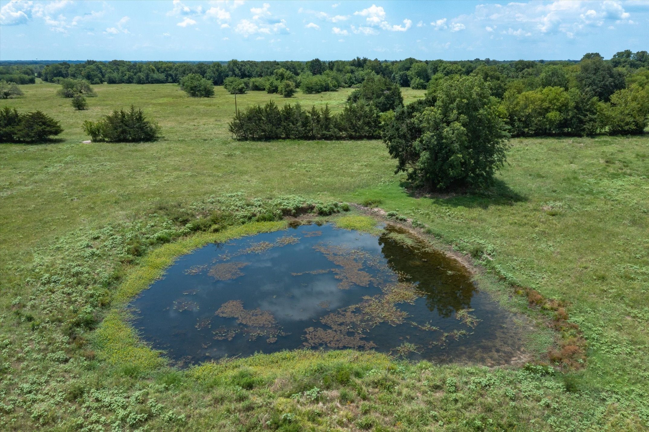 00 Vz County Road 3812