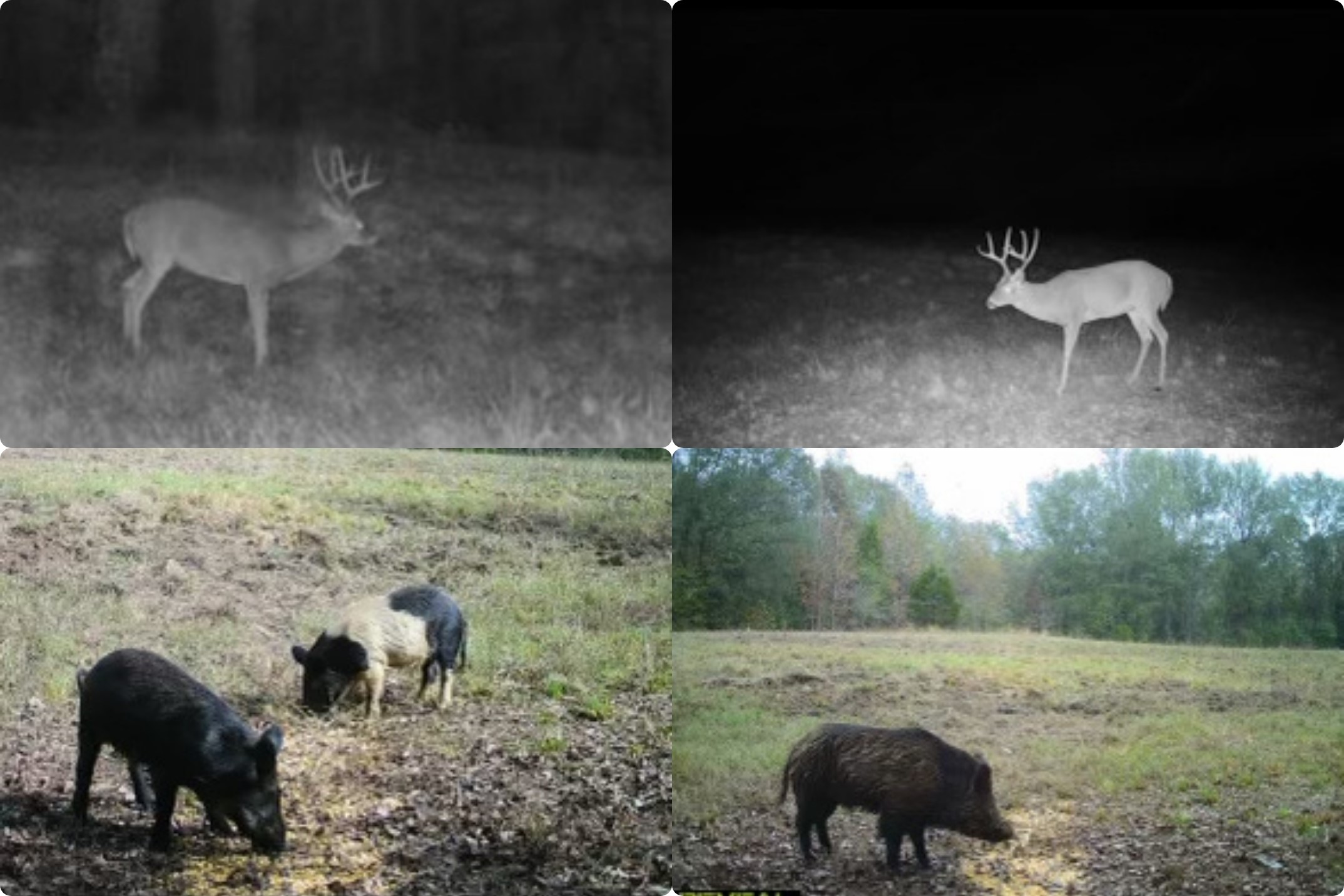 Tract 1 County Road 484