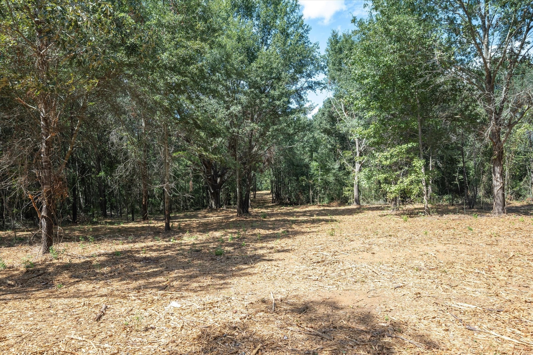 Tract 1 County Road 484