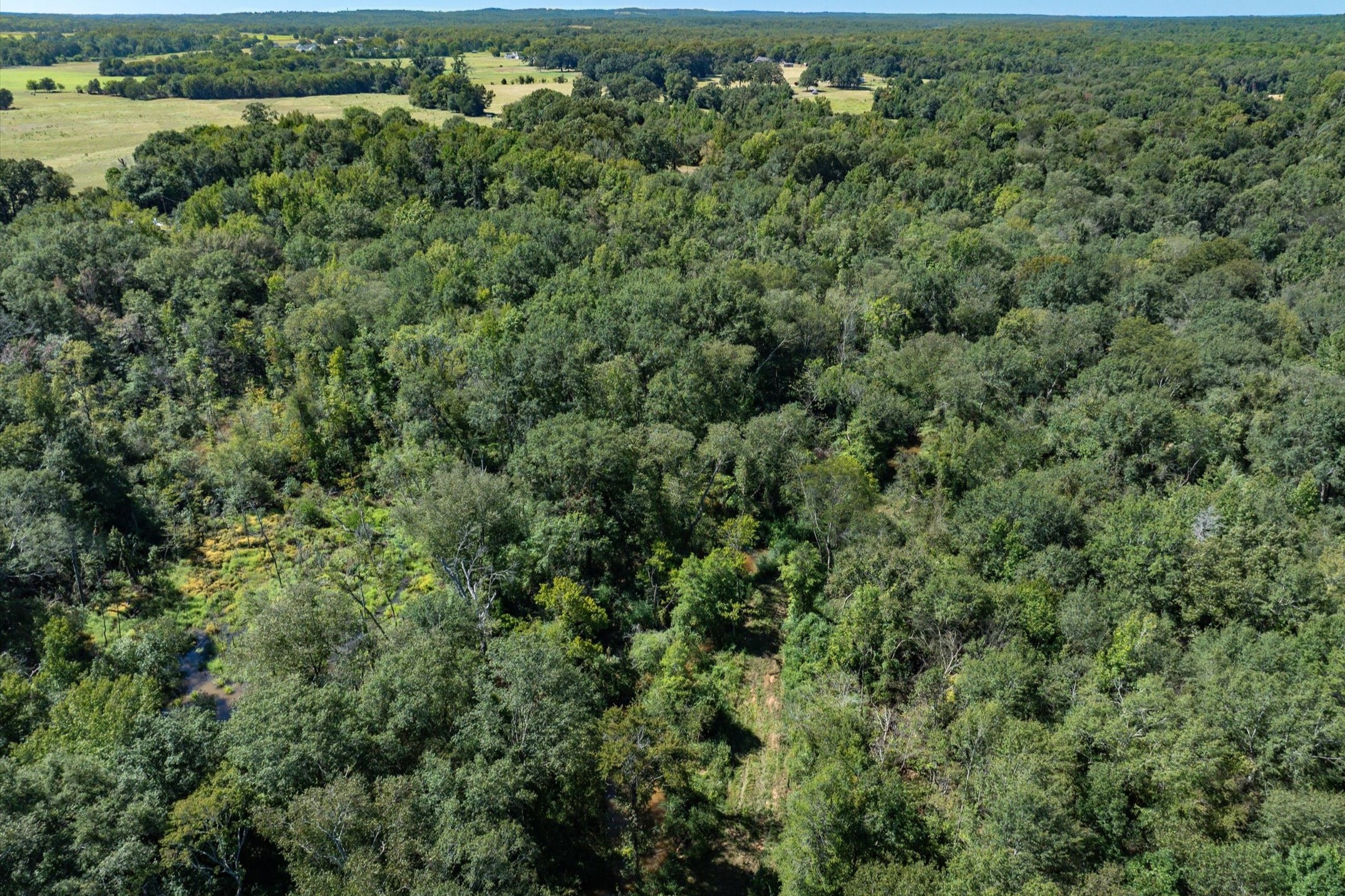Tract 1 County Road 484