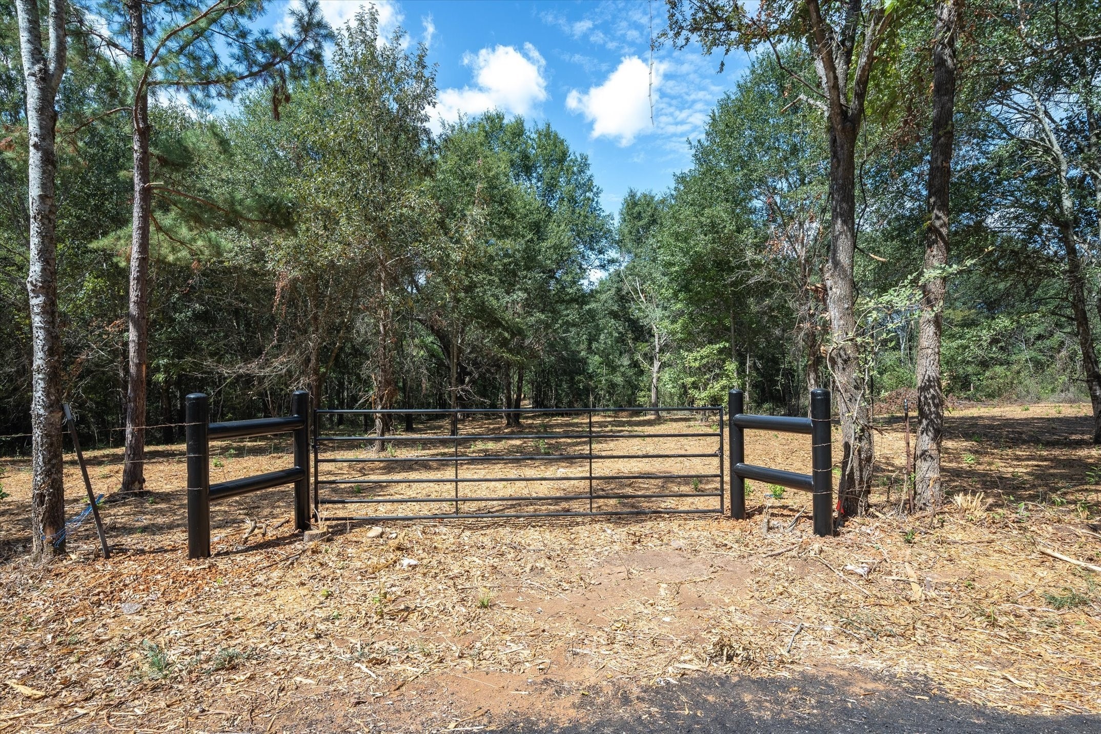 Tract 1 County Road 484