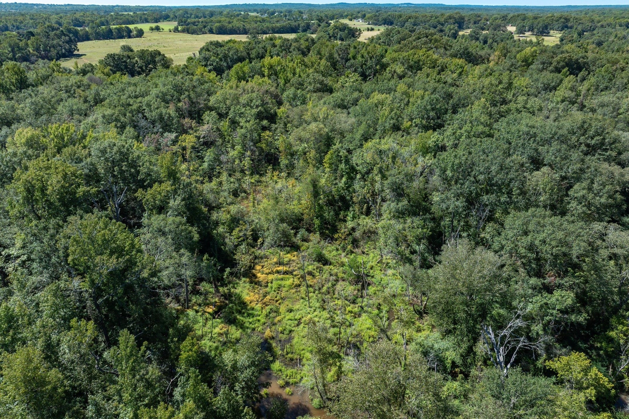 Tract 1 County Road 484