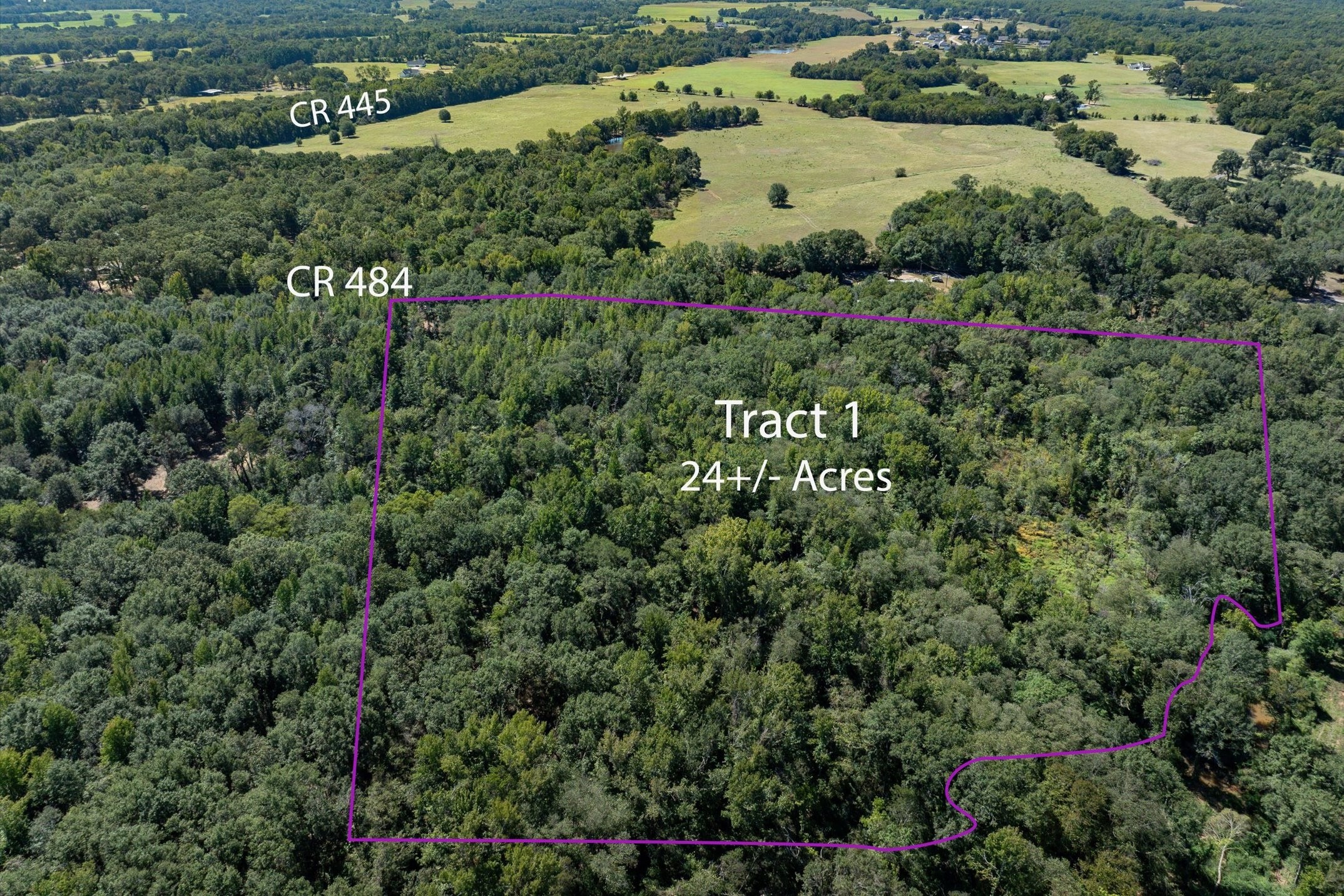 Tract 1 County Road 484