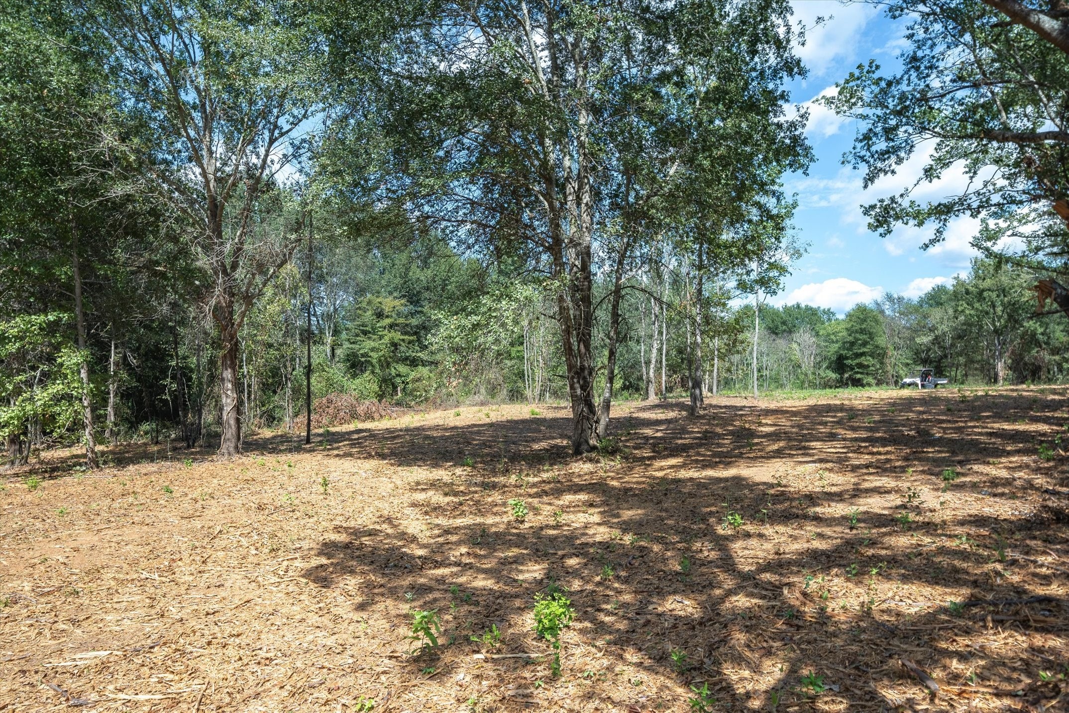 Tract 1 County Road 484