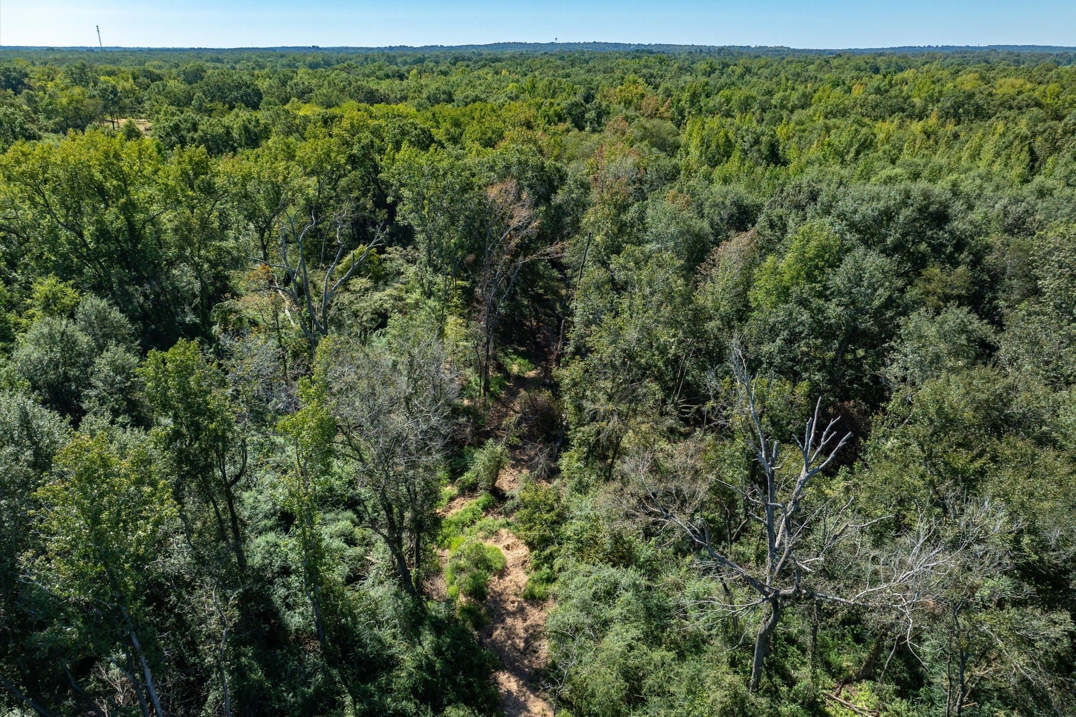 Tract 3 County Road 484