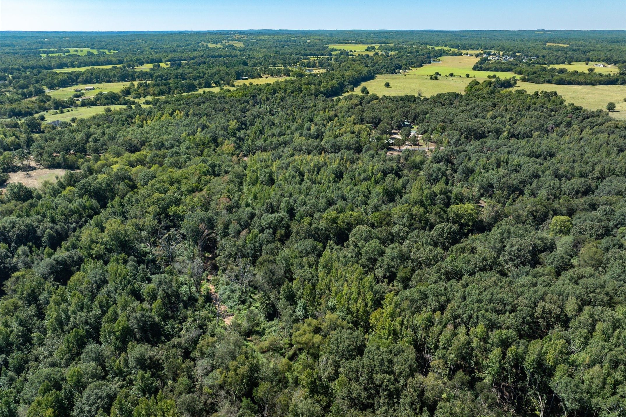 Tract 3 County Road 484