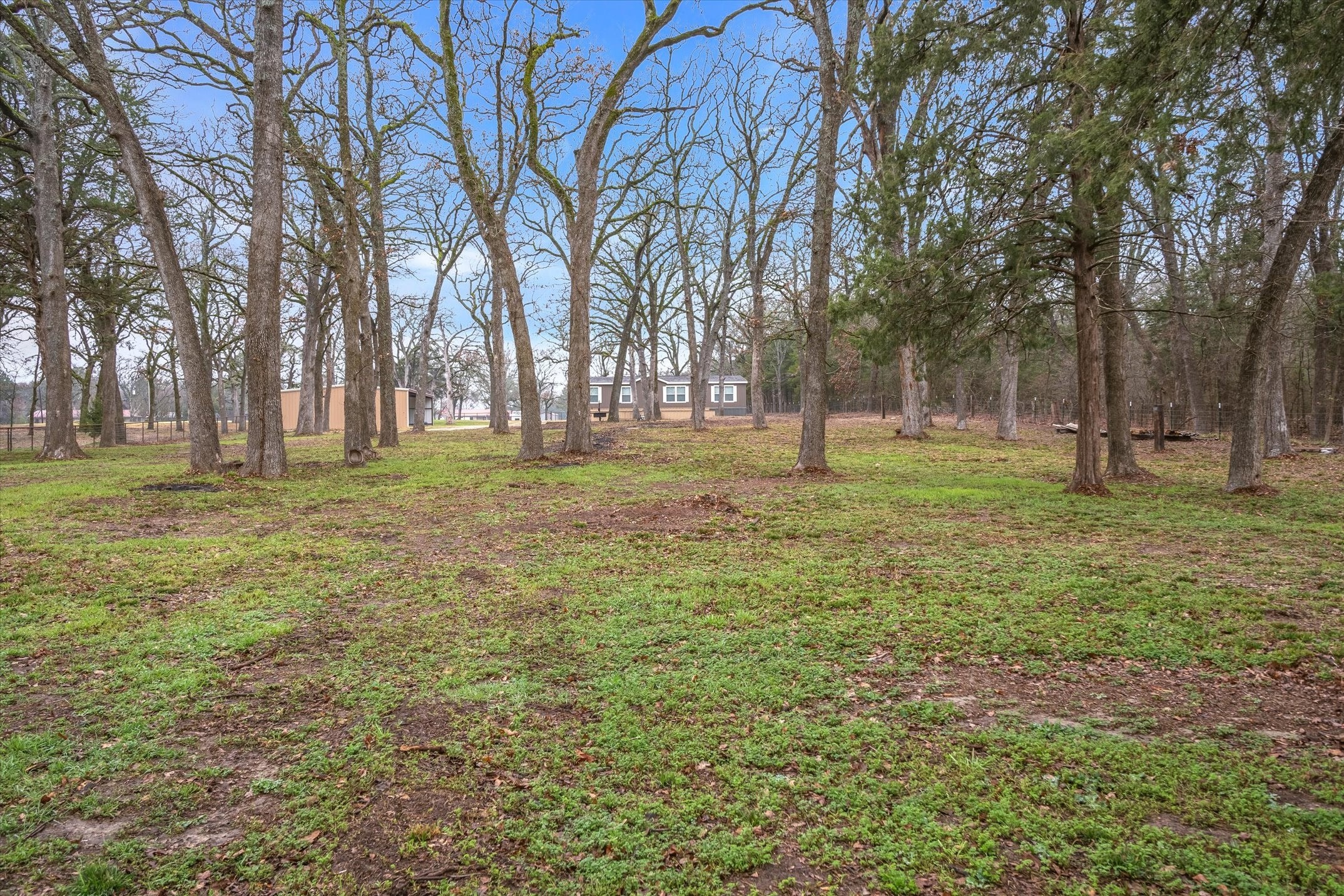 5741 County Road 3515