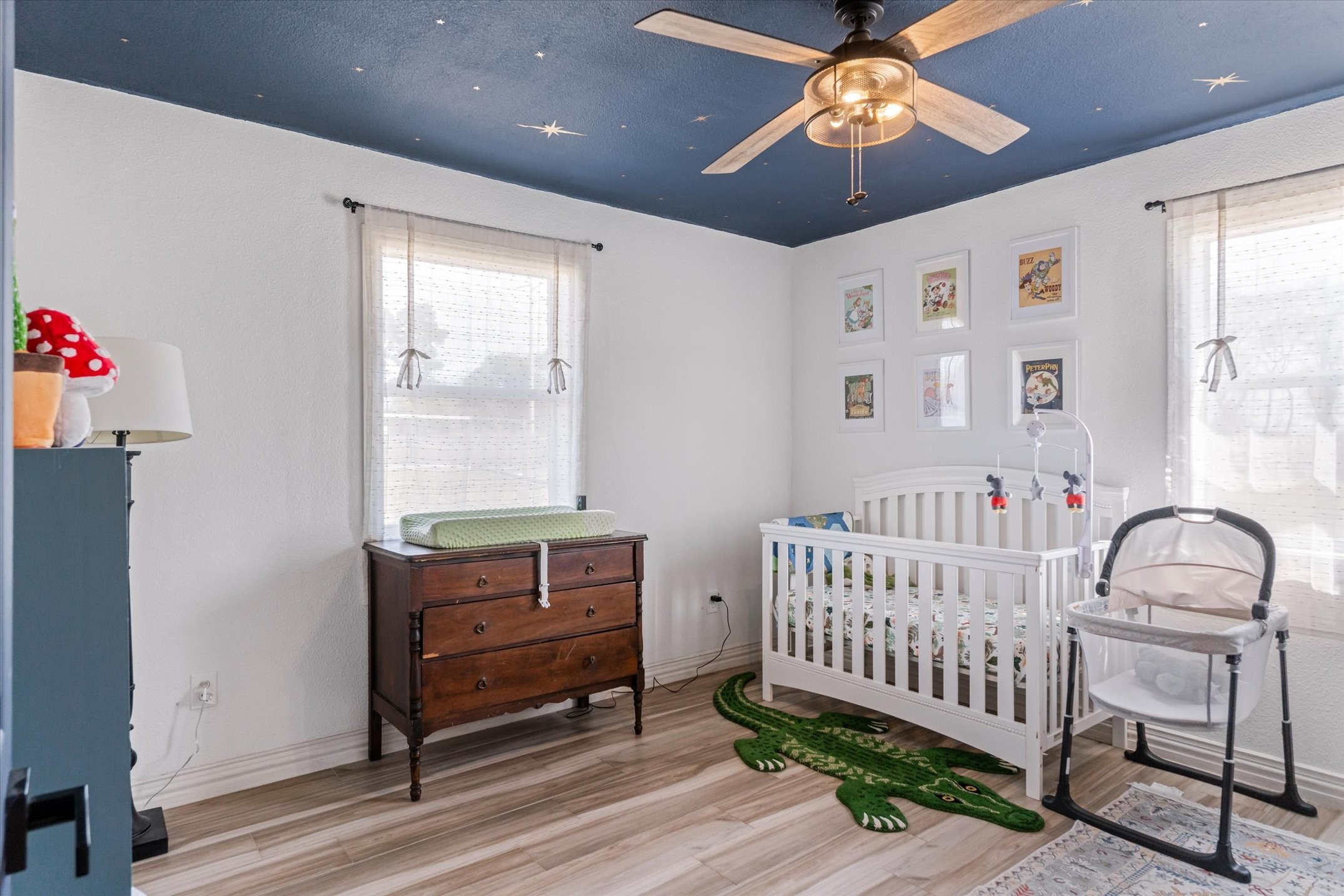 13145 County Road 3806