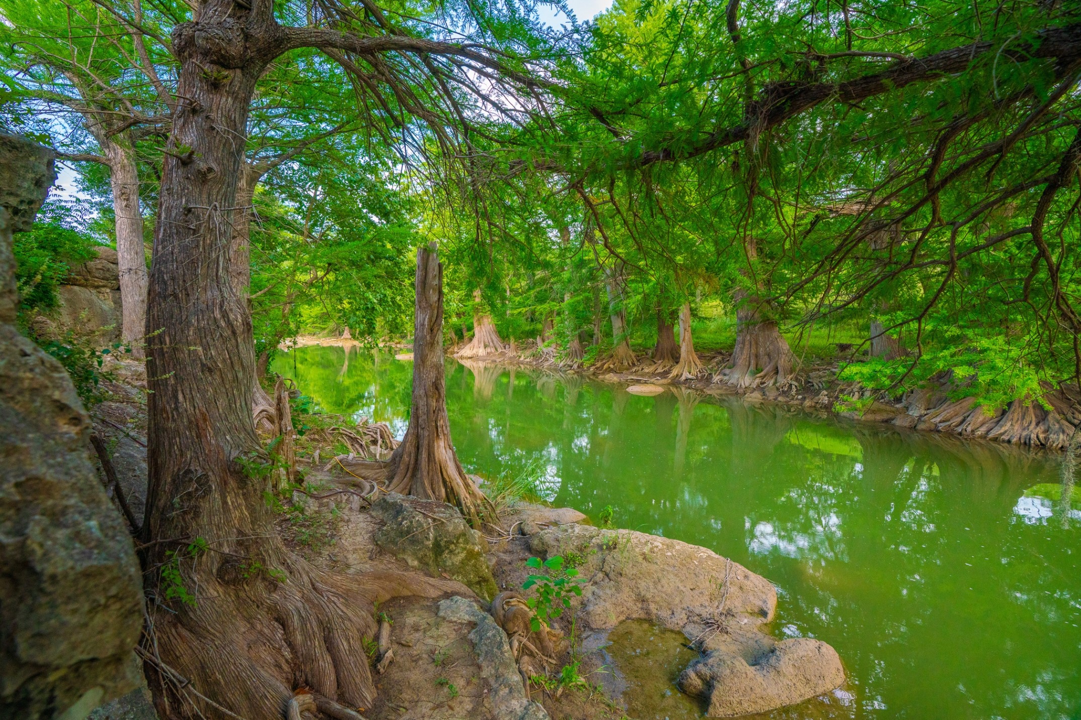 103 Misty Waters