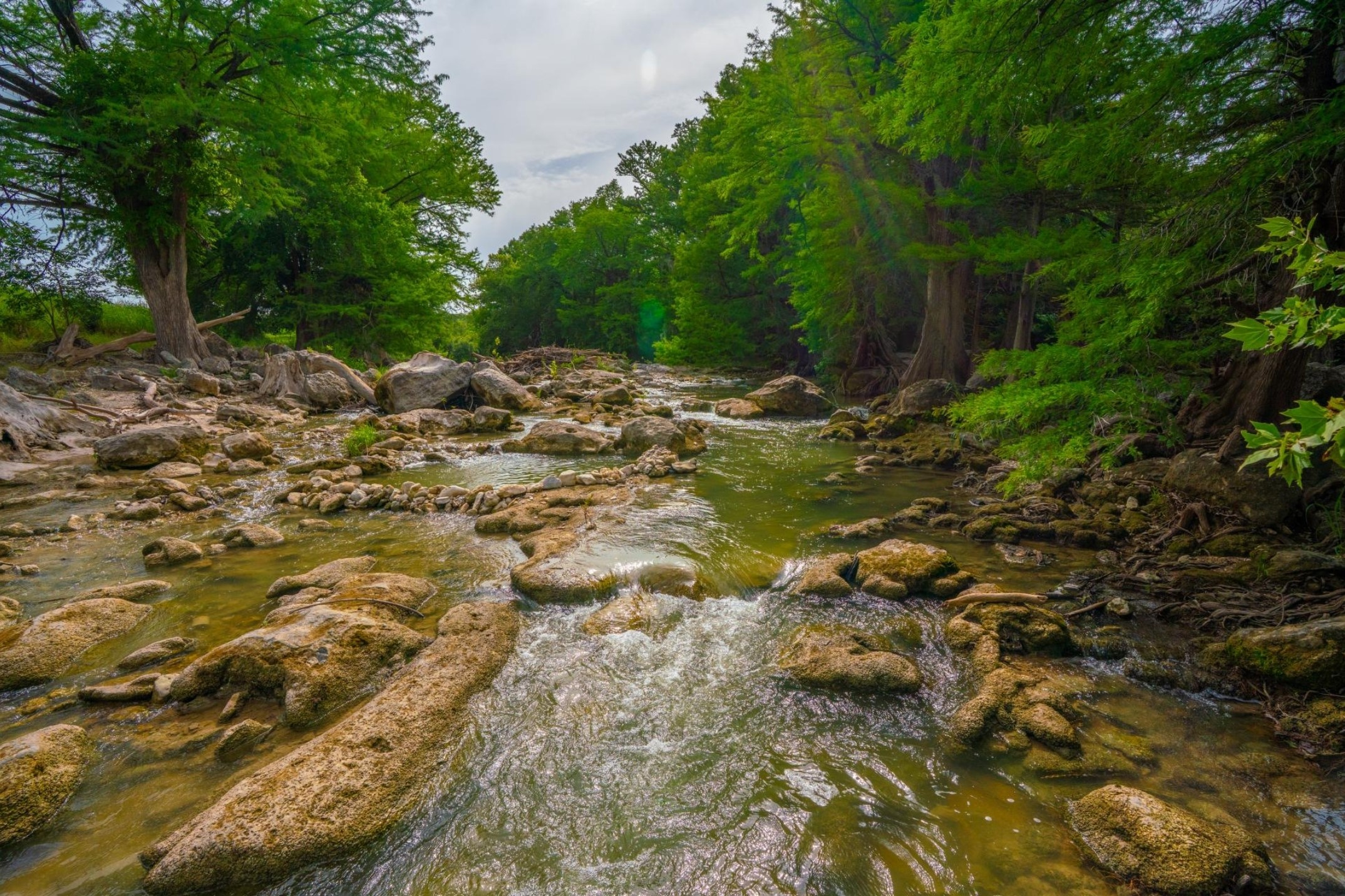 103 Misty Waters