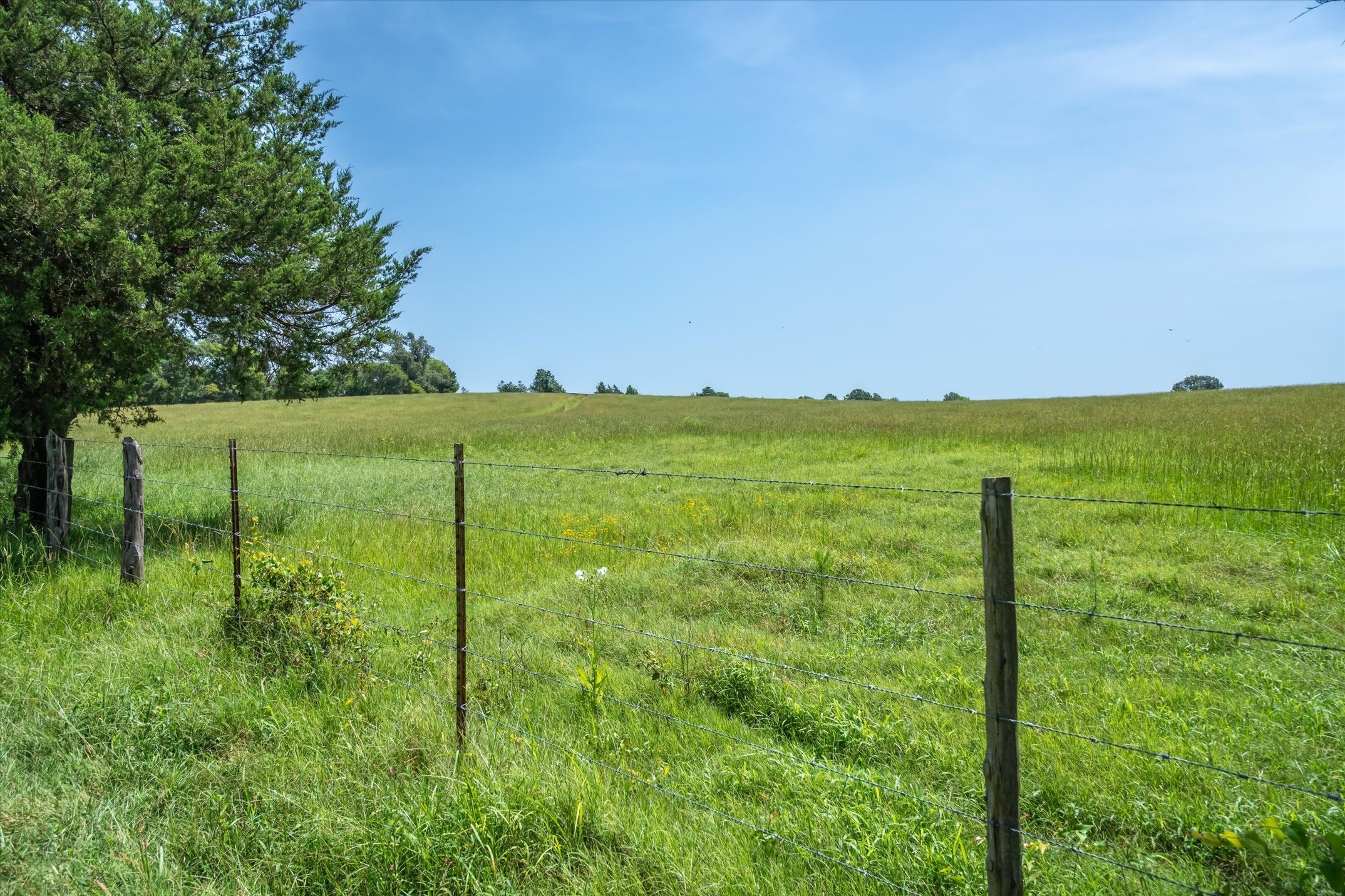 00 County Road 4501