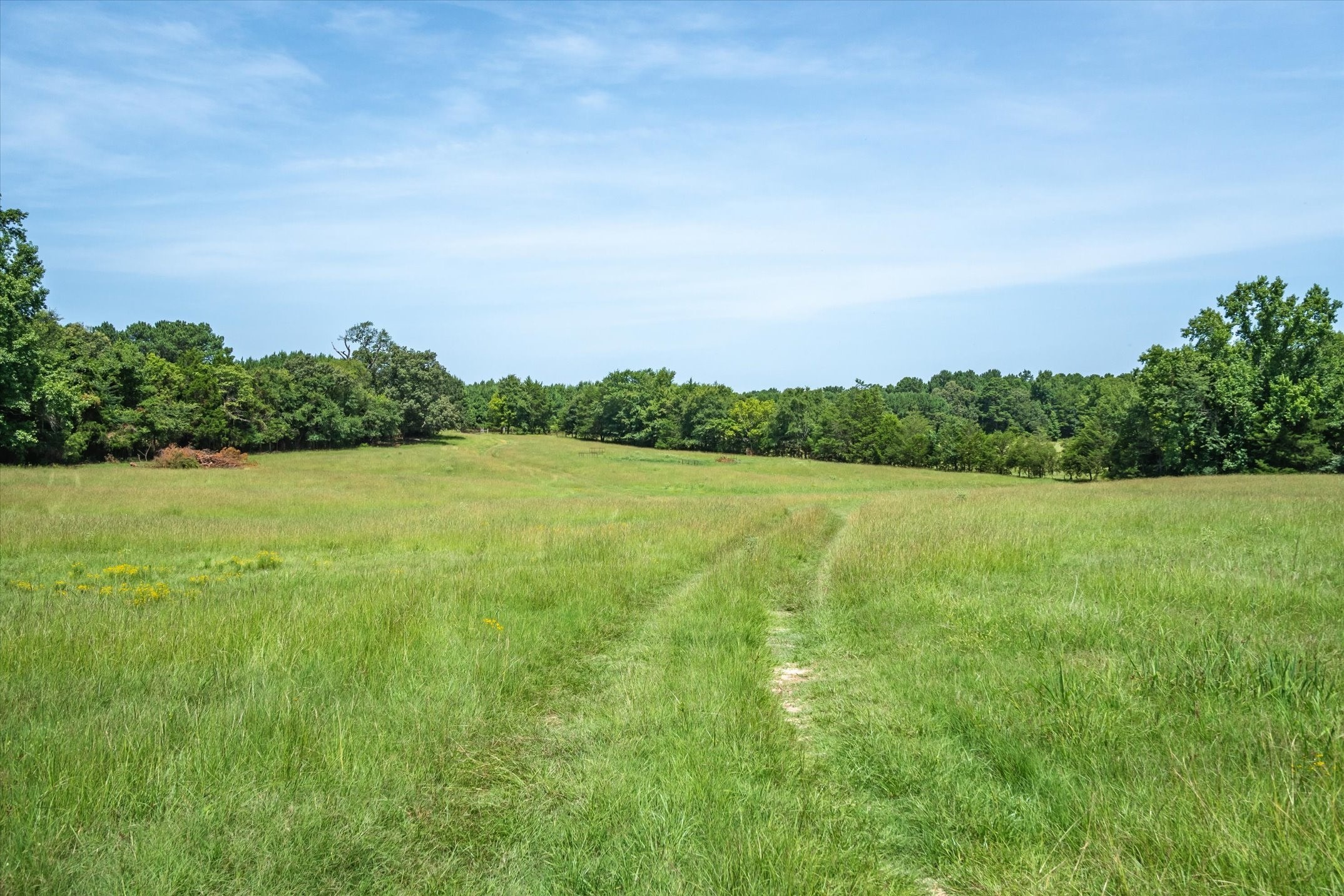 00 County Road 4501