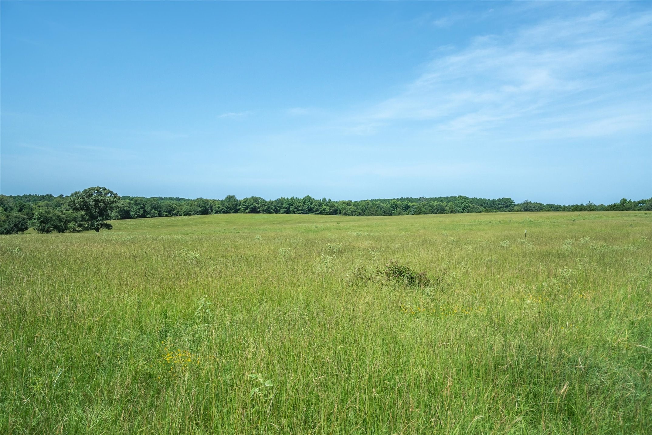 00 County Road 4501