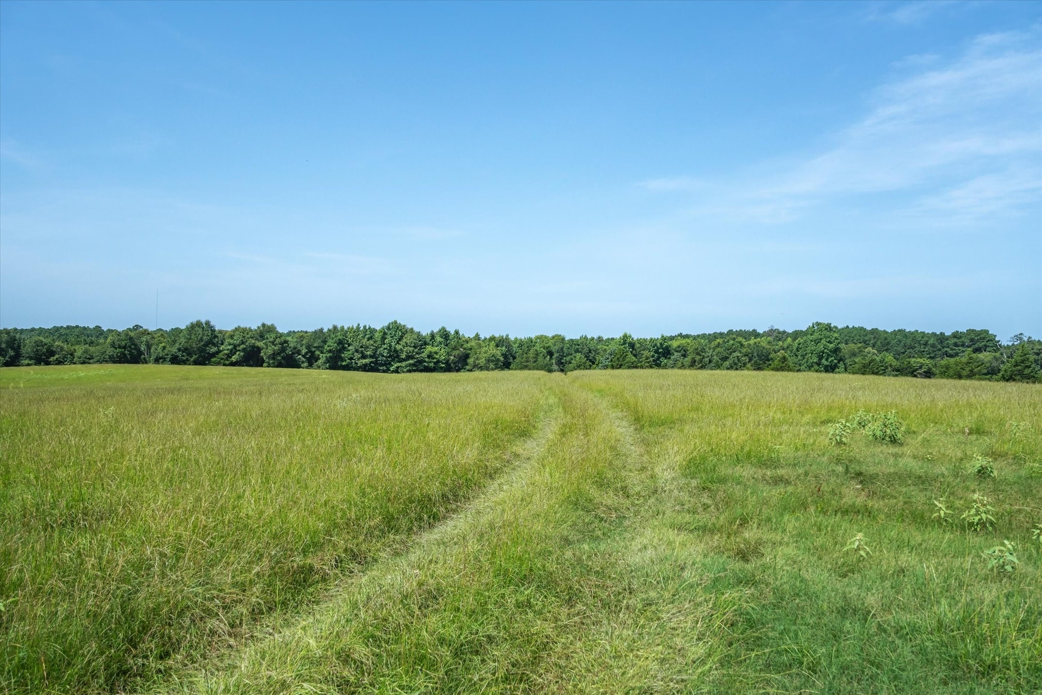 00 County Road 4501