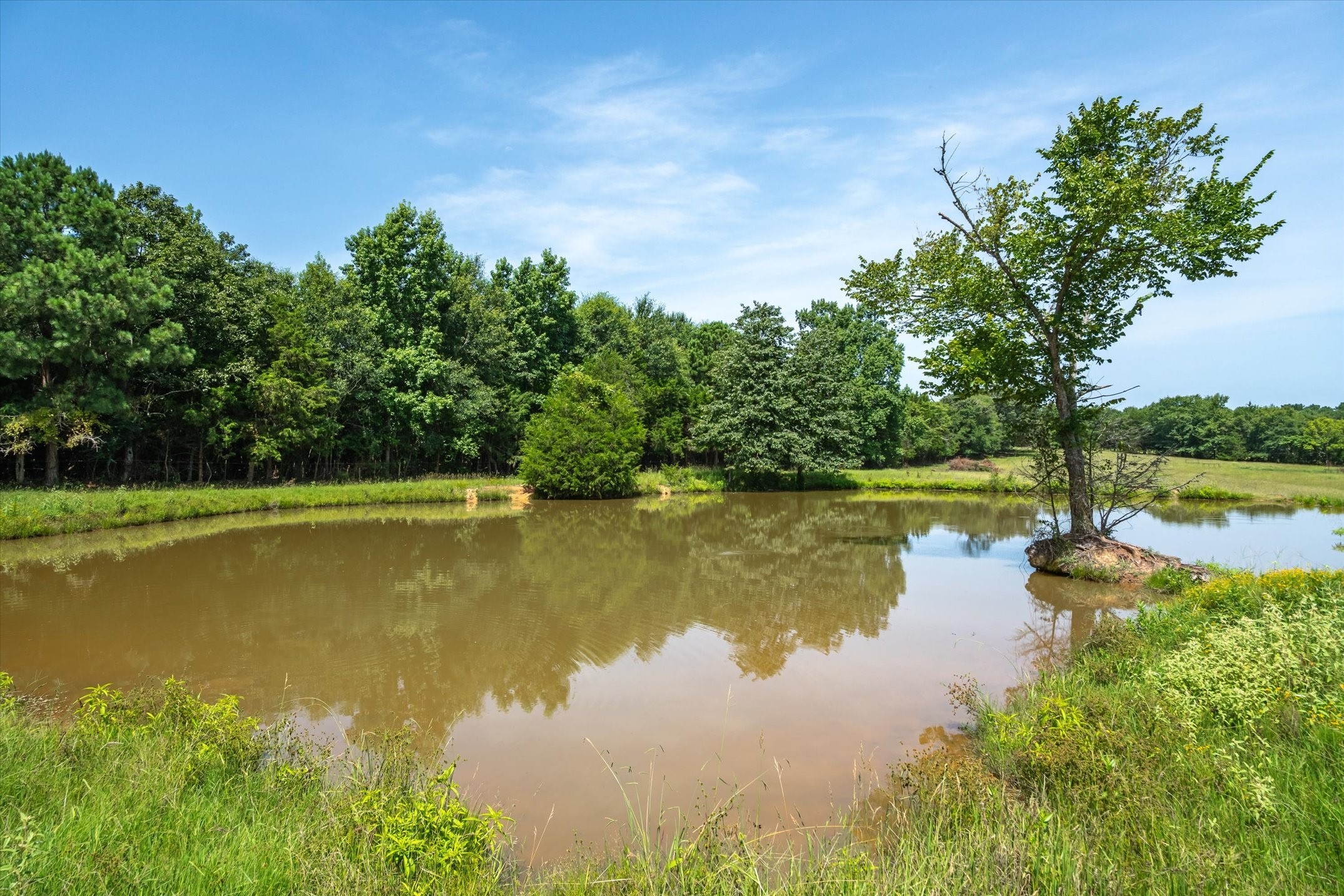 00 County Road 4501