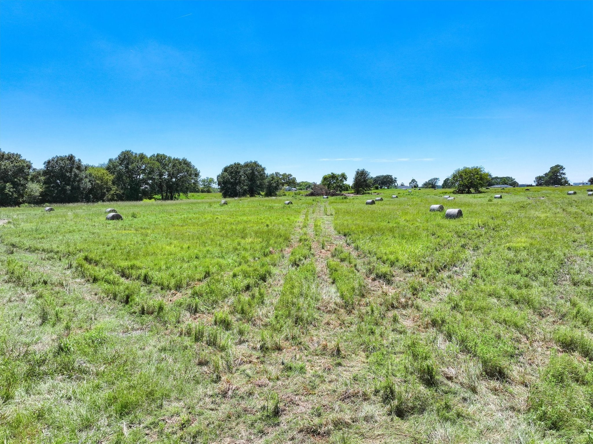 174 VZ County Road 2119