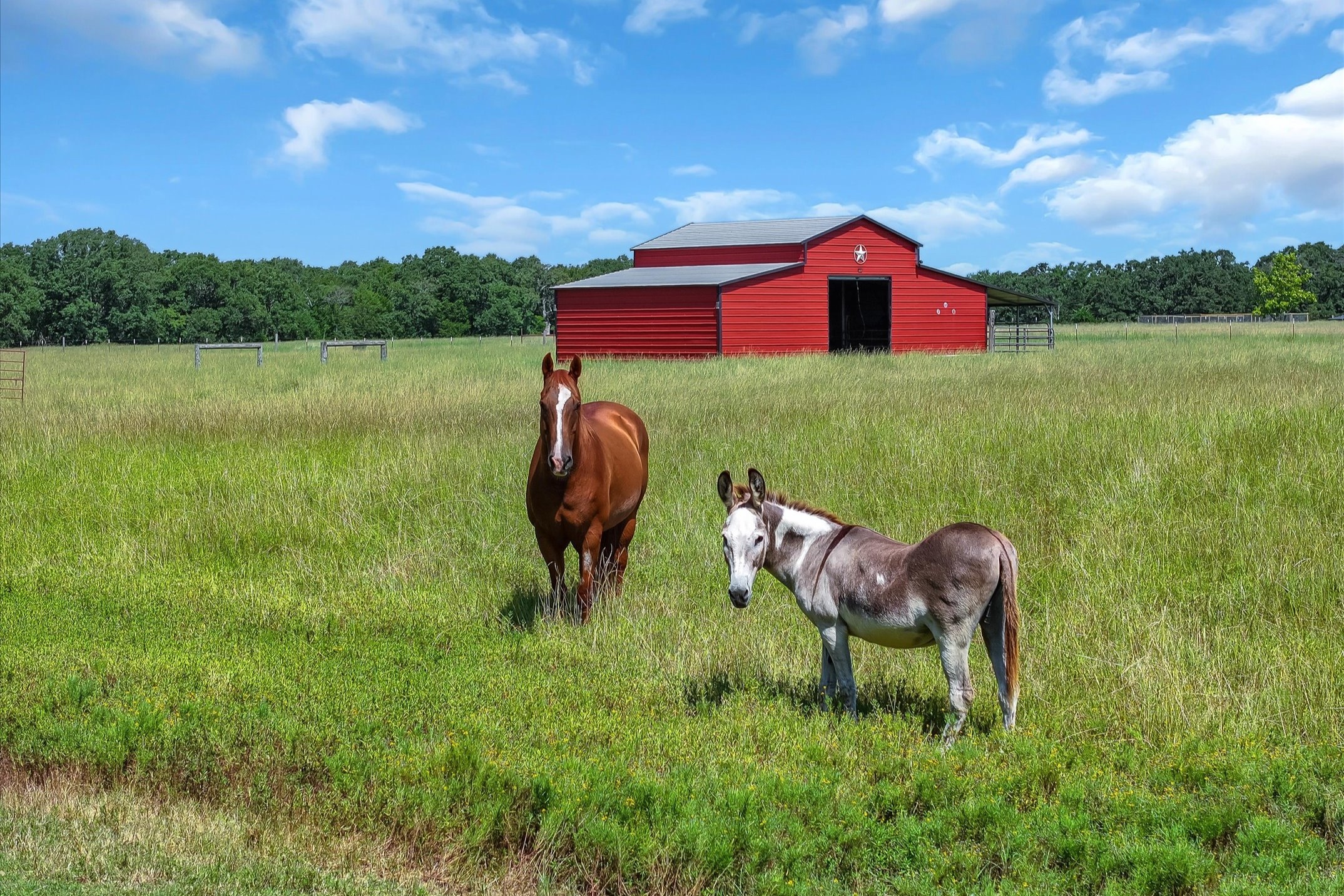 4182 Hidden Meadow Drive