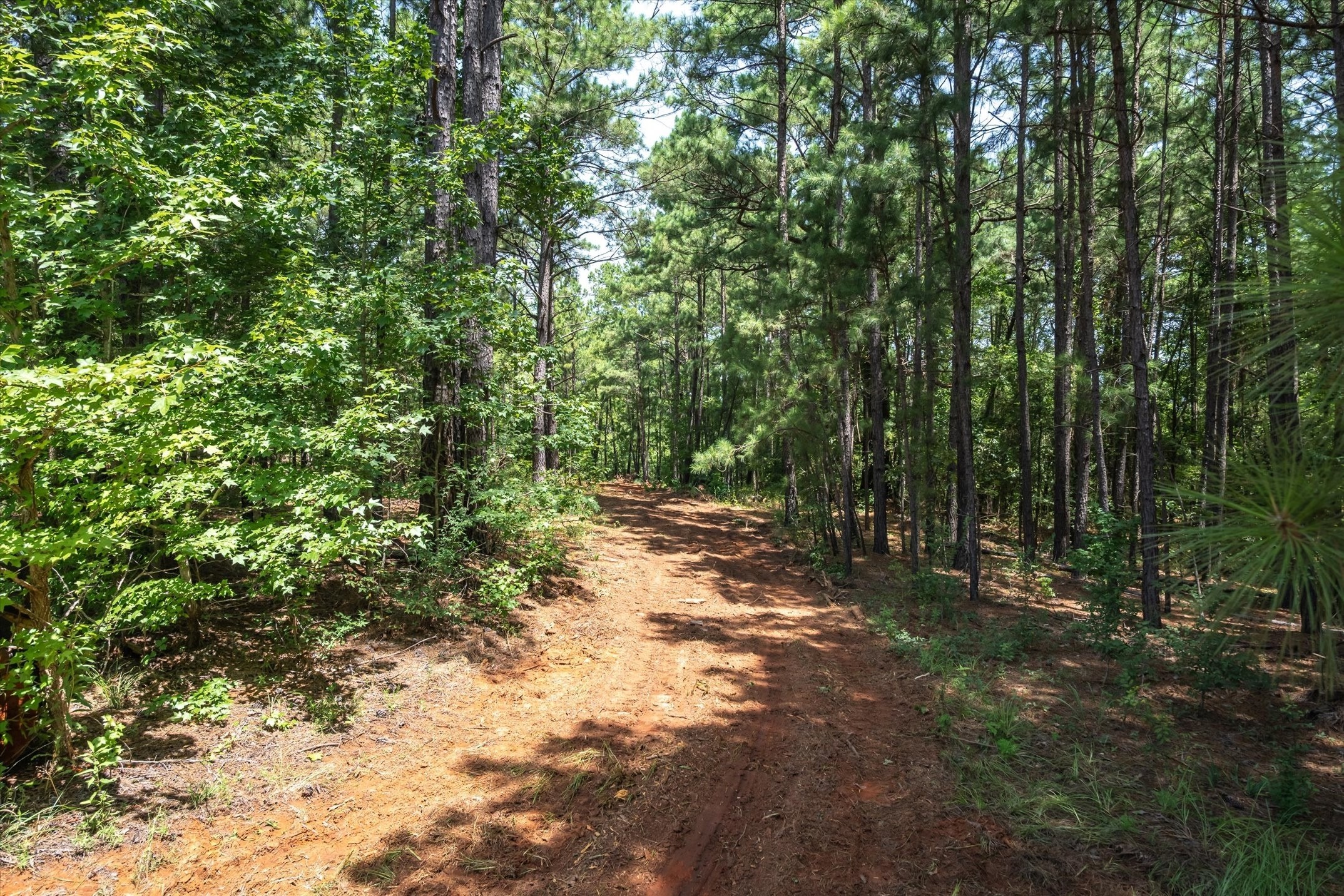 Tract 1 County Road 4102