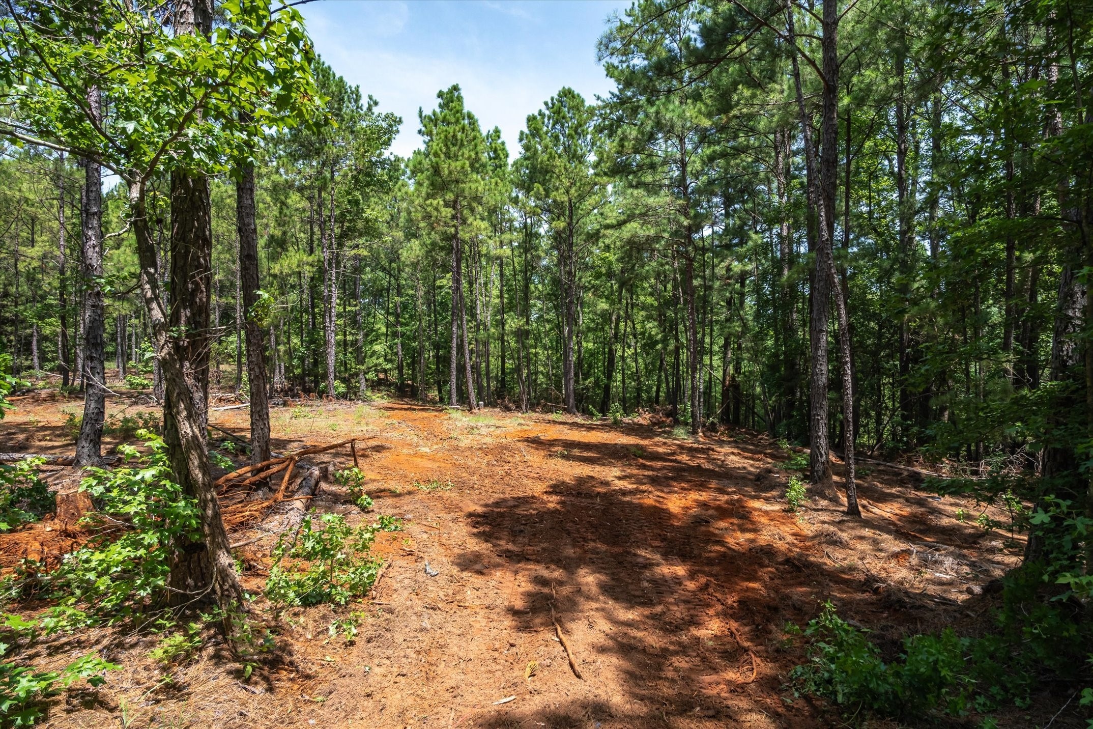 Tract 2 County Road 4102