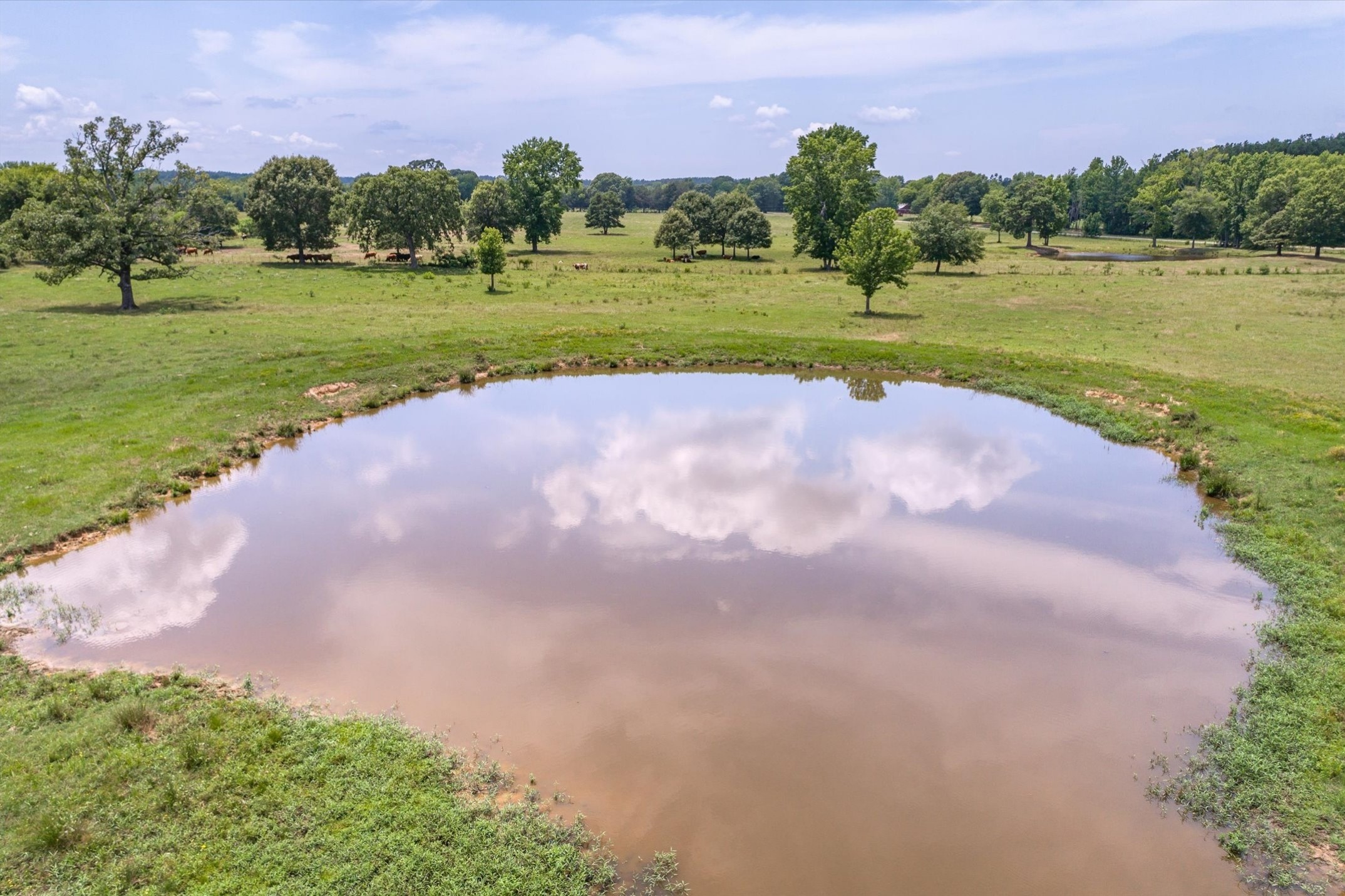 17104 County Road 1100