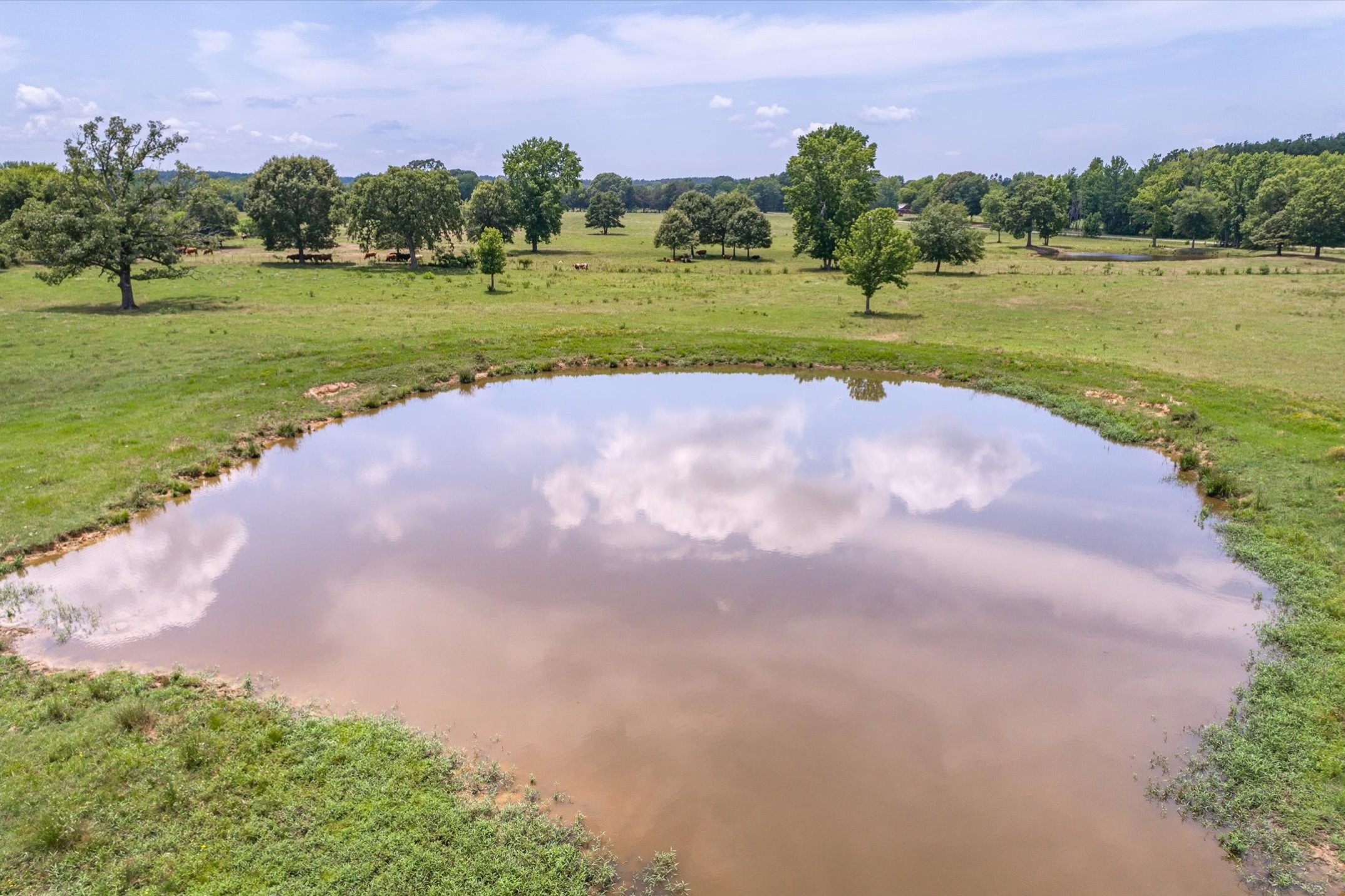 17104 County Road 1100