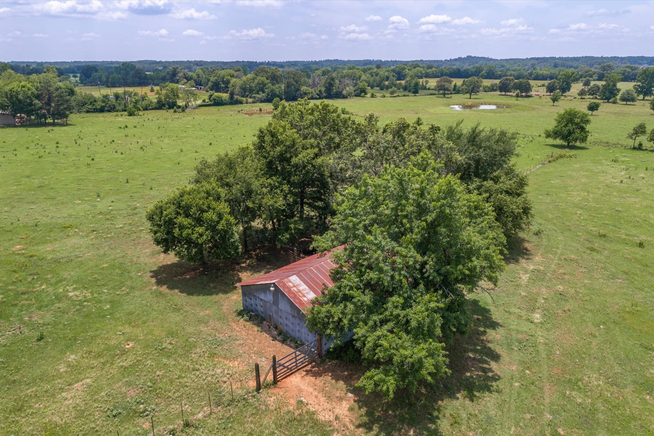 17104 County Road 1100