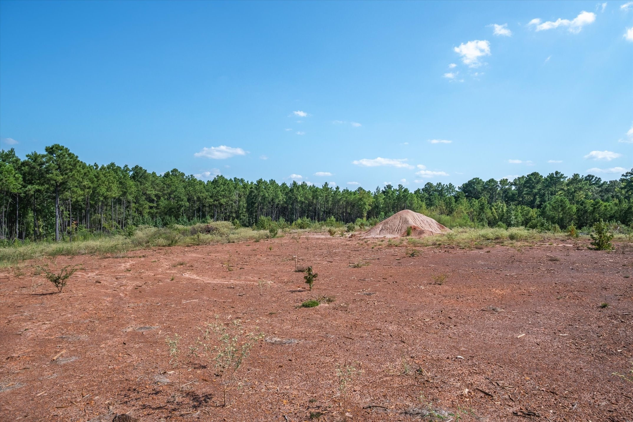 18021 State Highway 155 S