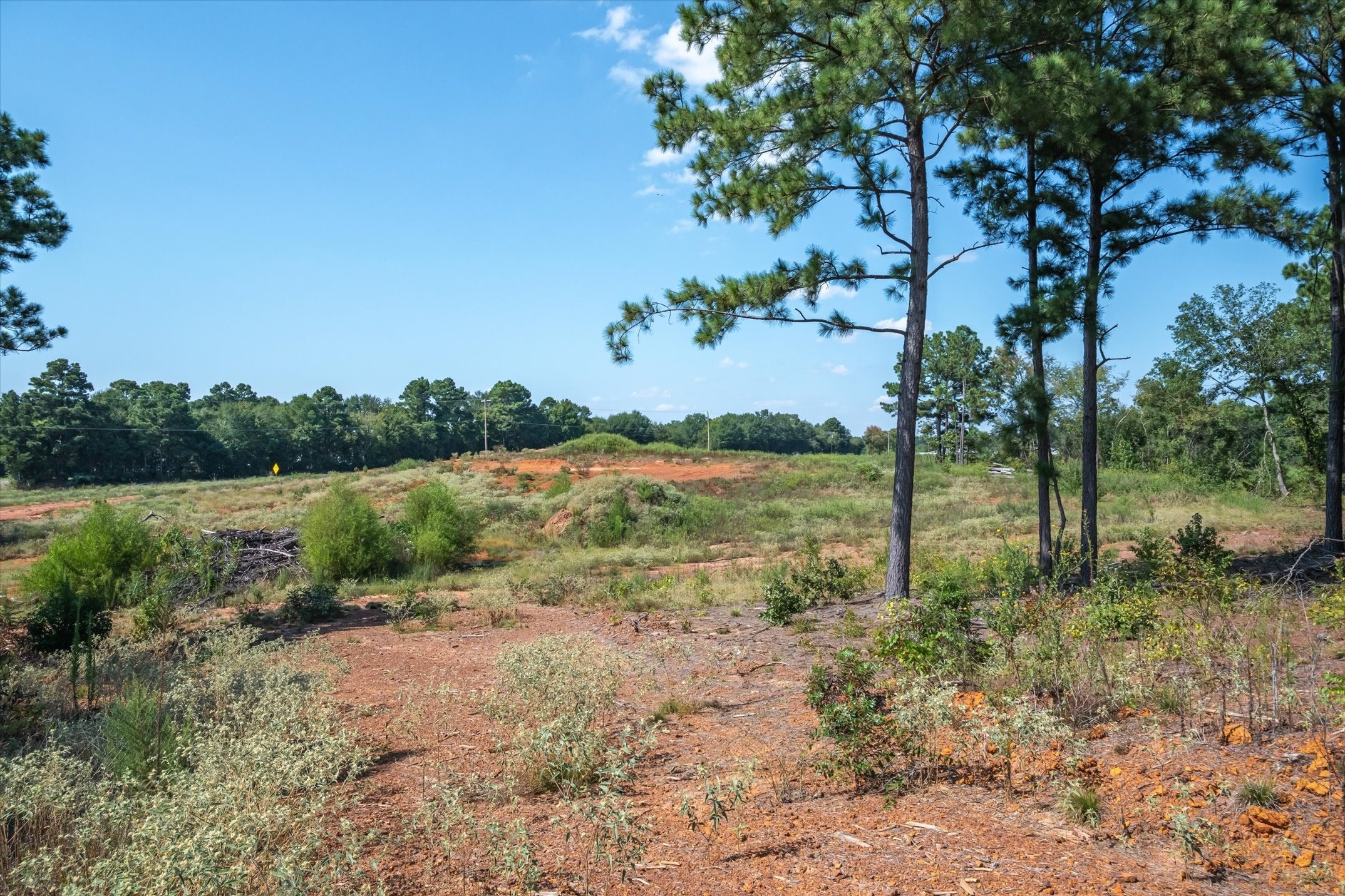 18021 State Highway 155 S