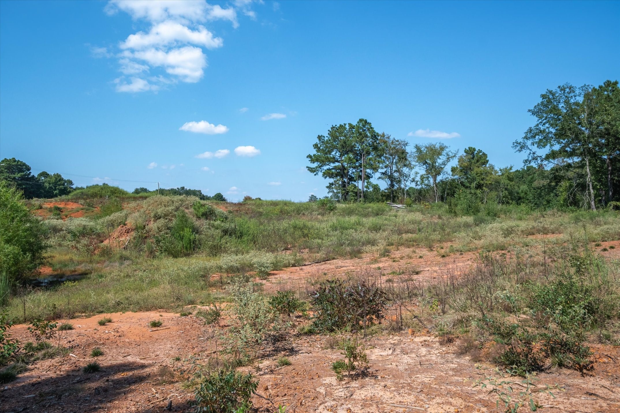 18021 State Highway 155 S