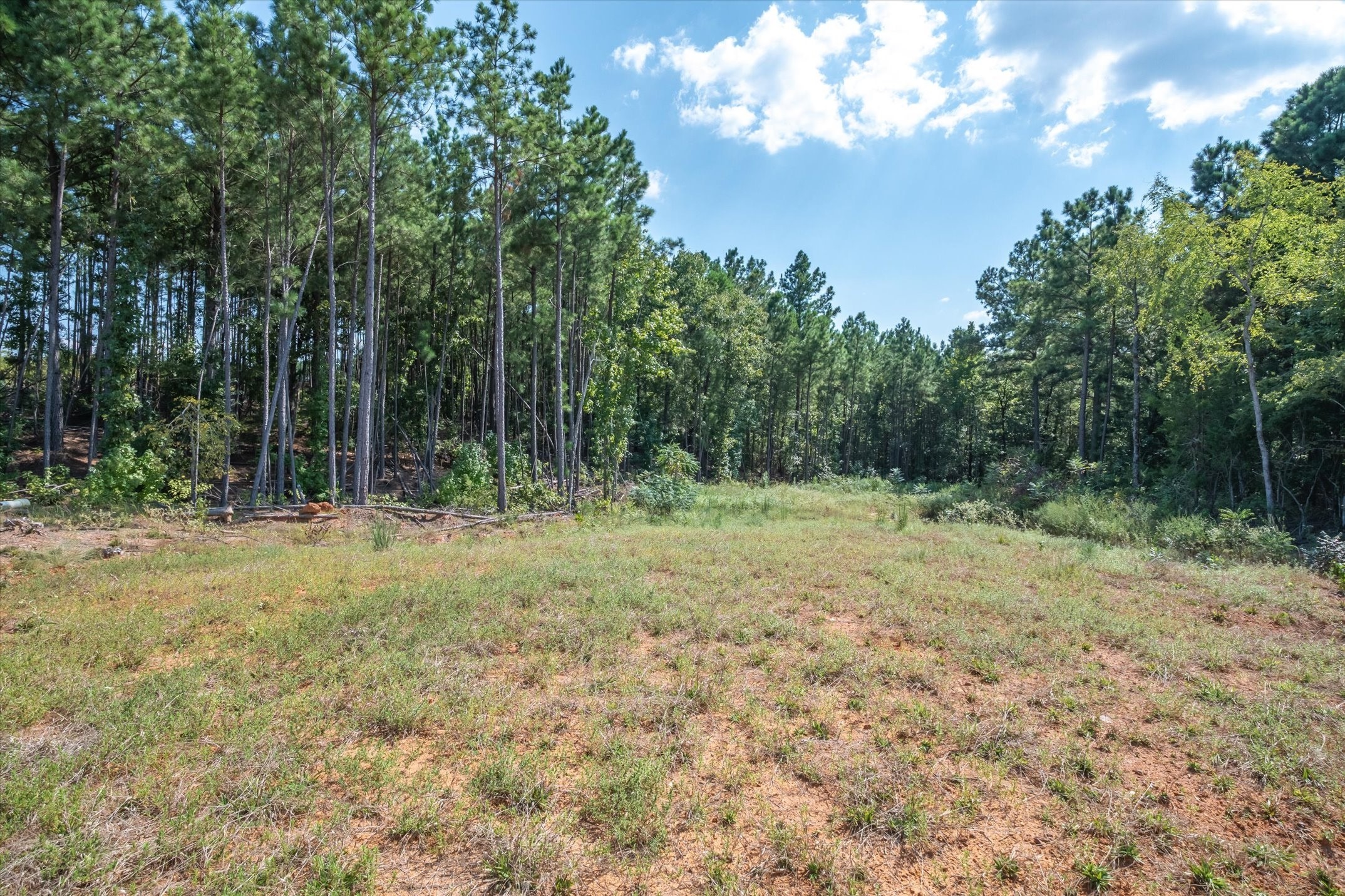 18021 State Highway 155 S