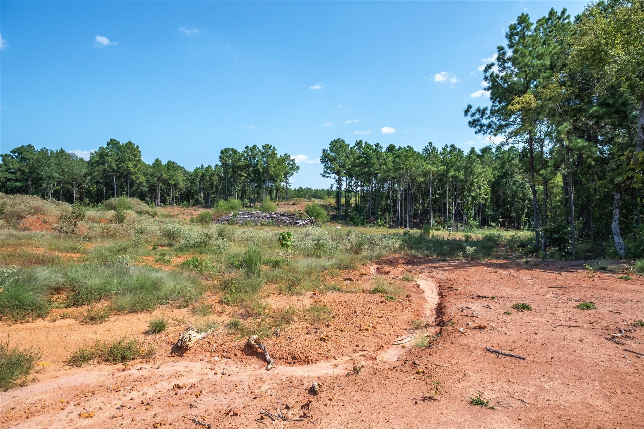 18021 State Highway 155 S