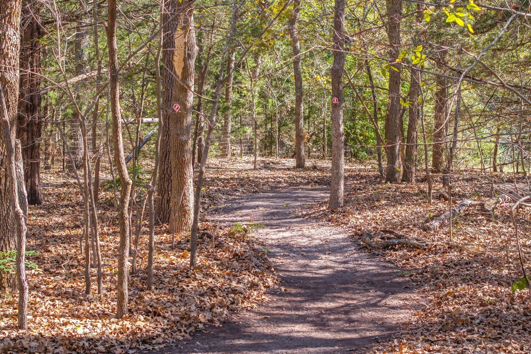 10825 County Road 2458