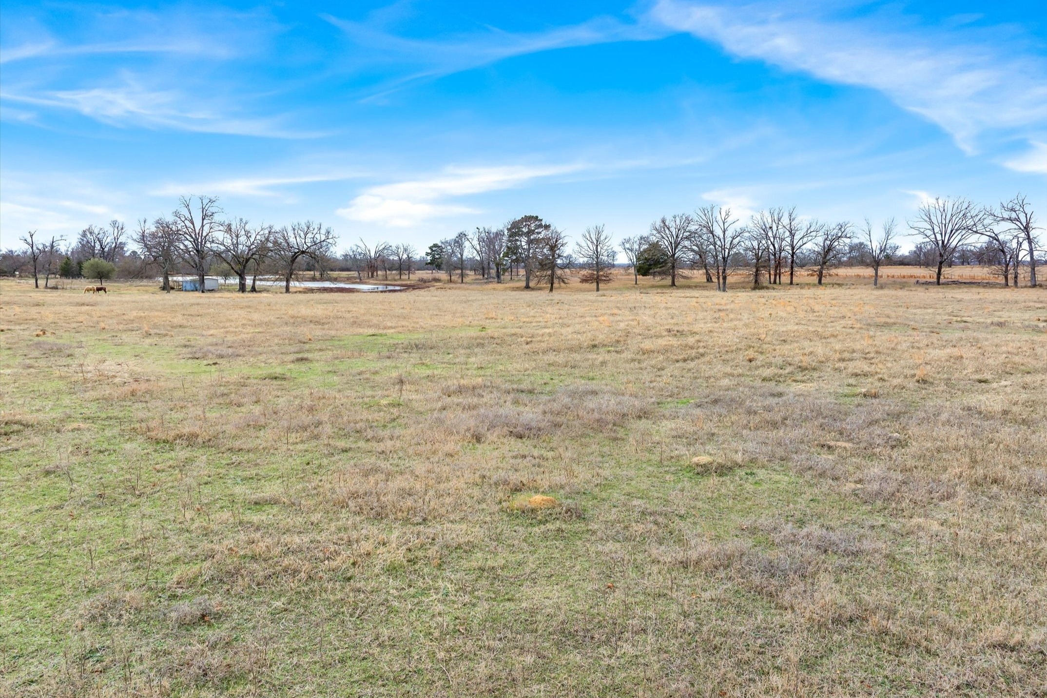 000 County Road 2918