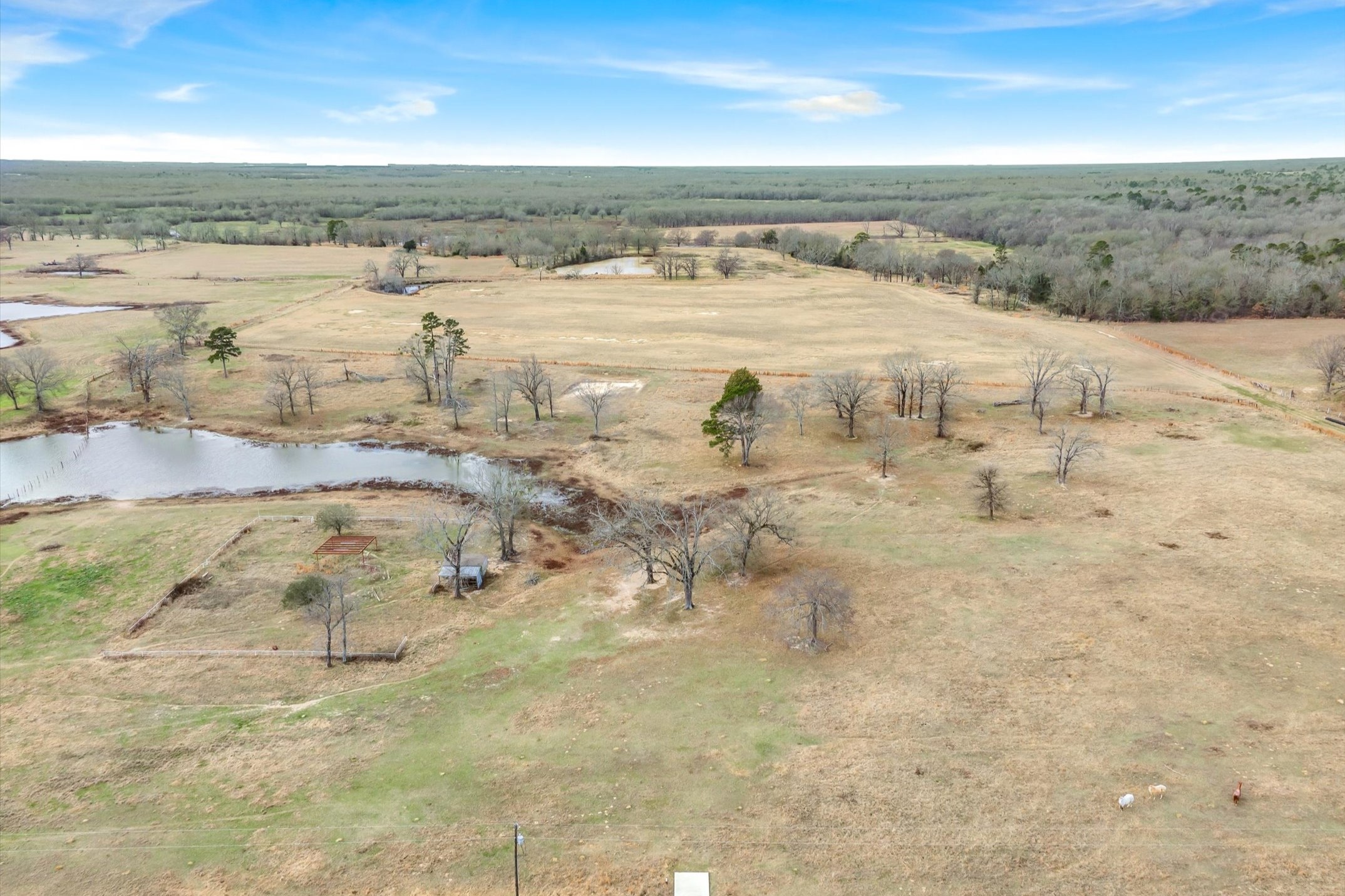 000 County Road 2918