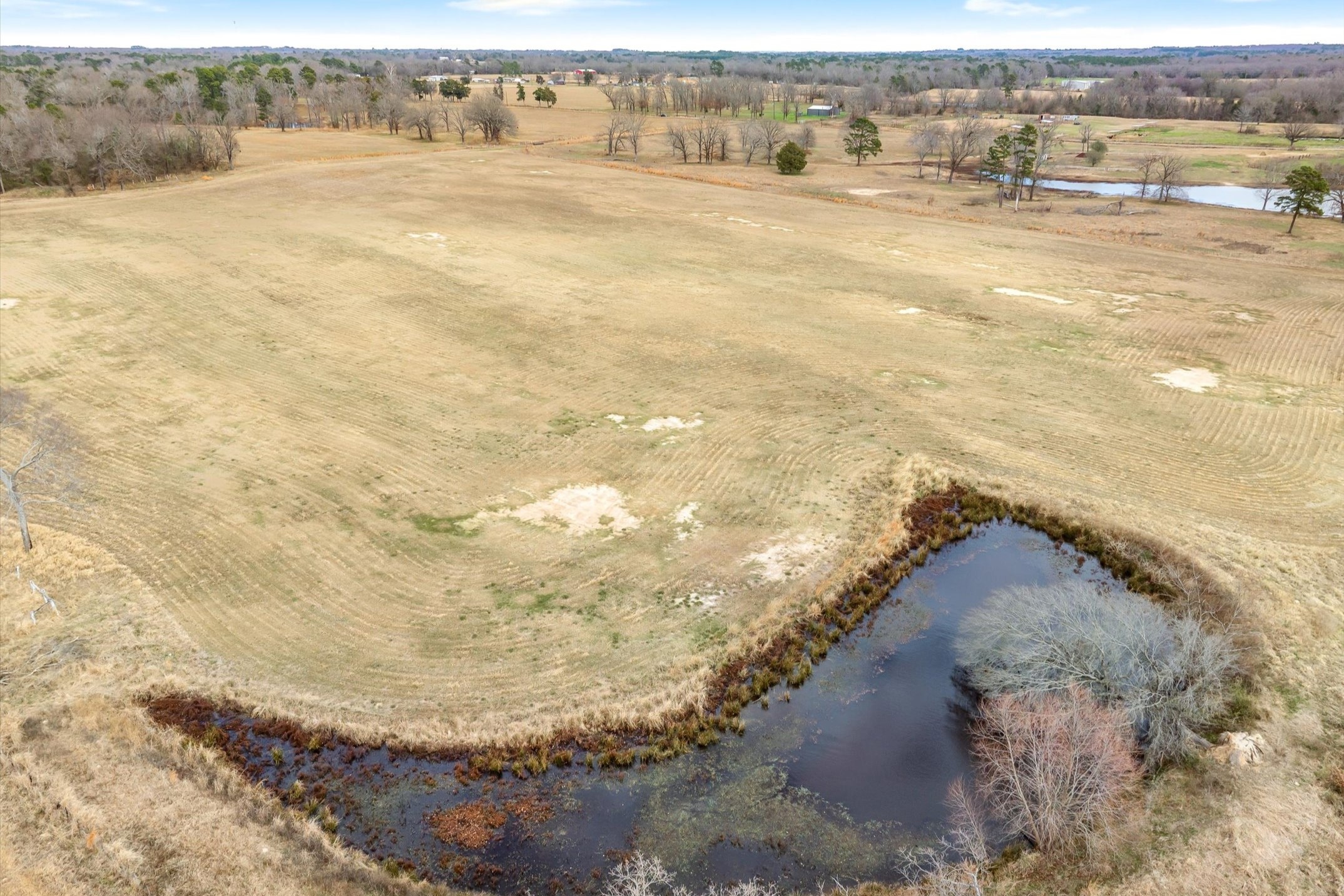 000 County Road 2918